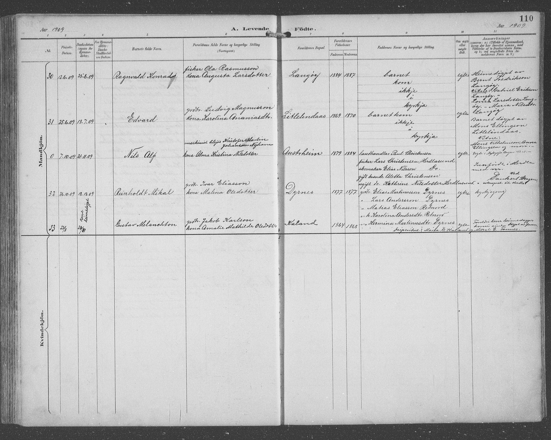 Lindås Sokneprestembete, SAB/A-76701/H/Hab: Parish register (copy) no. C 4, 1894-1910, p. 110