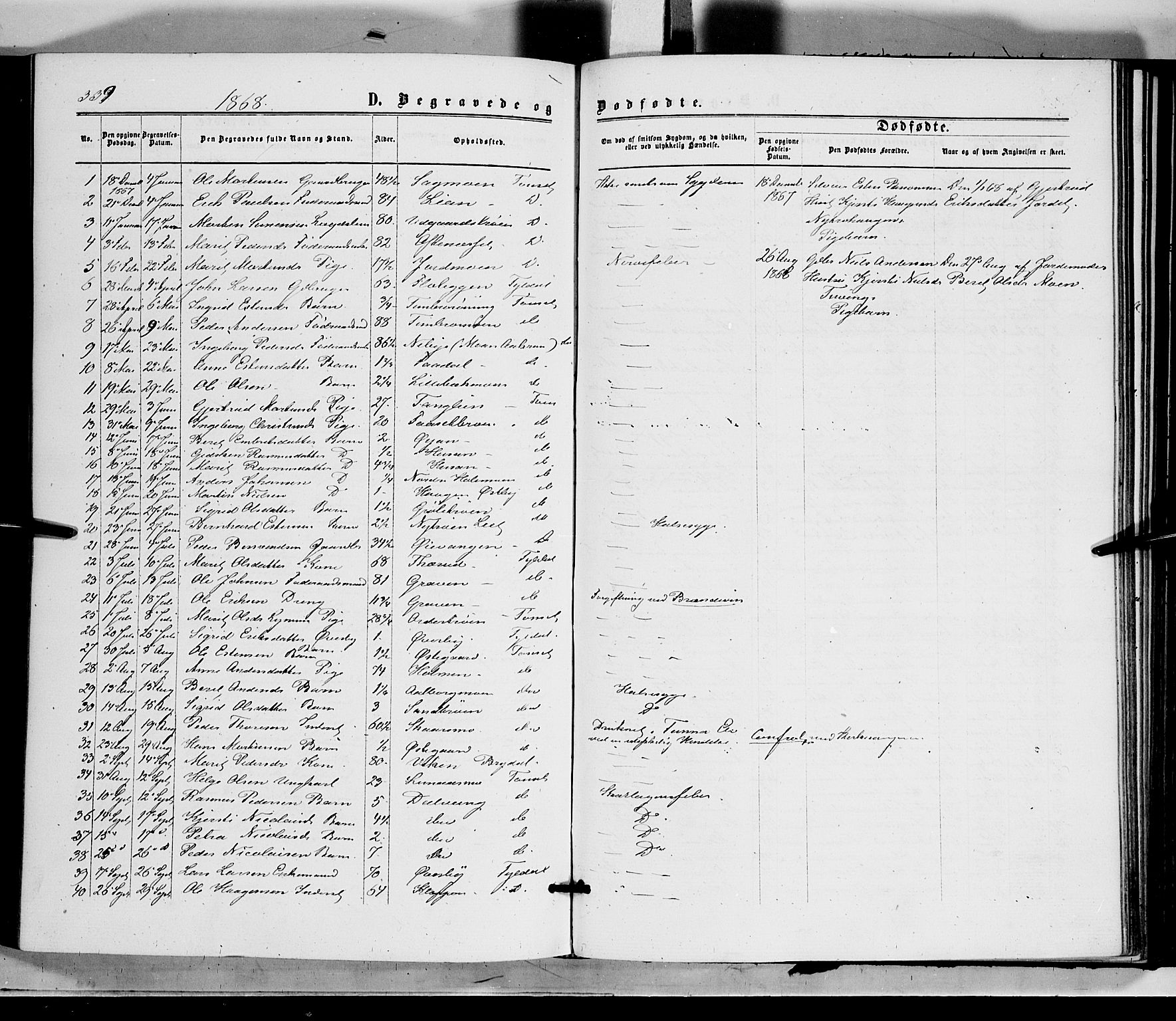 Tynset prestekontor, SAH/PREST-058/H/Ha/Haa/L0021: Parish register (official) no. 21, 1863-1879, p. 339