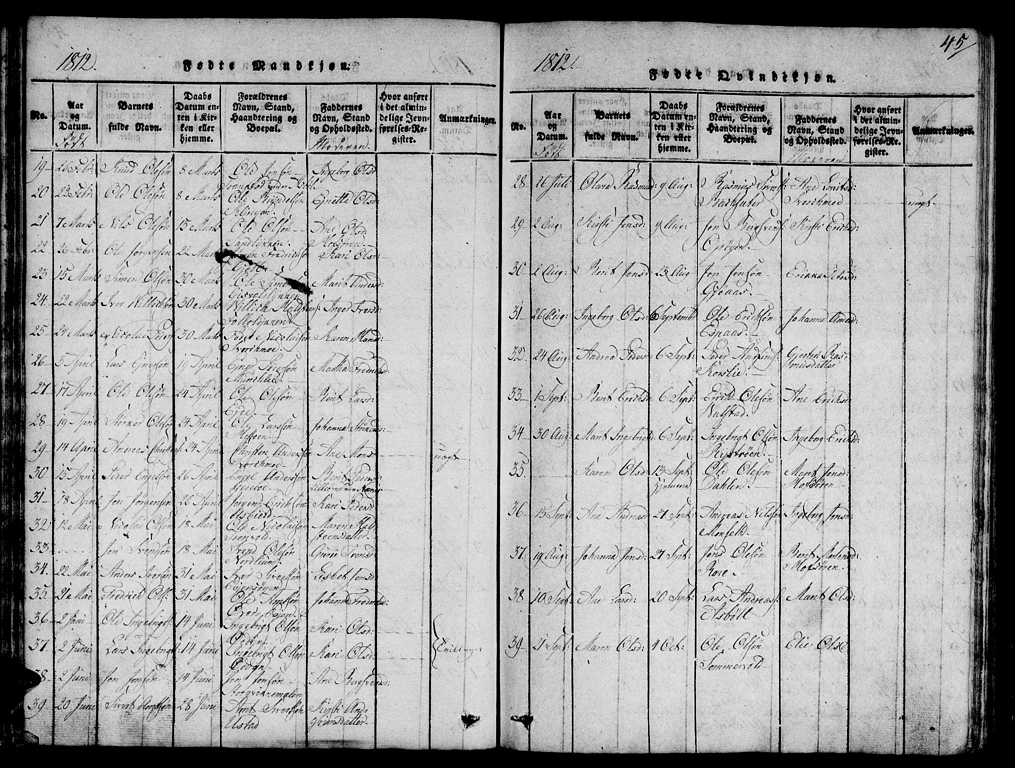 Ministerialprotokoller, klokkerbøker og fødselsregistre - Sør-Trøndelag, AV/SAT-A-1456/668/L0803: Parish register (official) no. 668A03, 1800-1826, p. 45