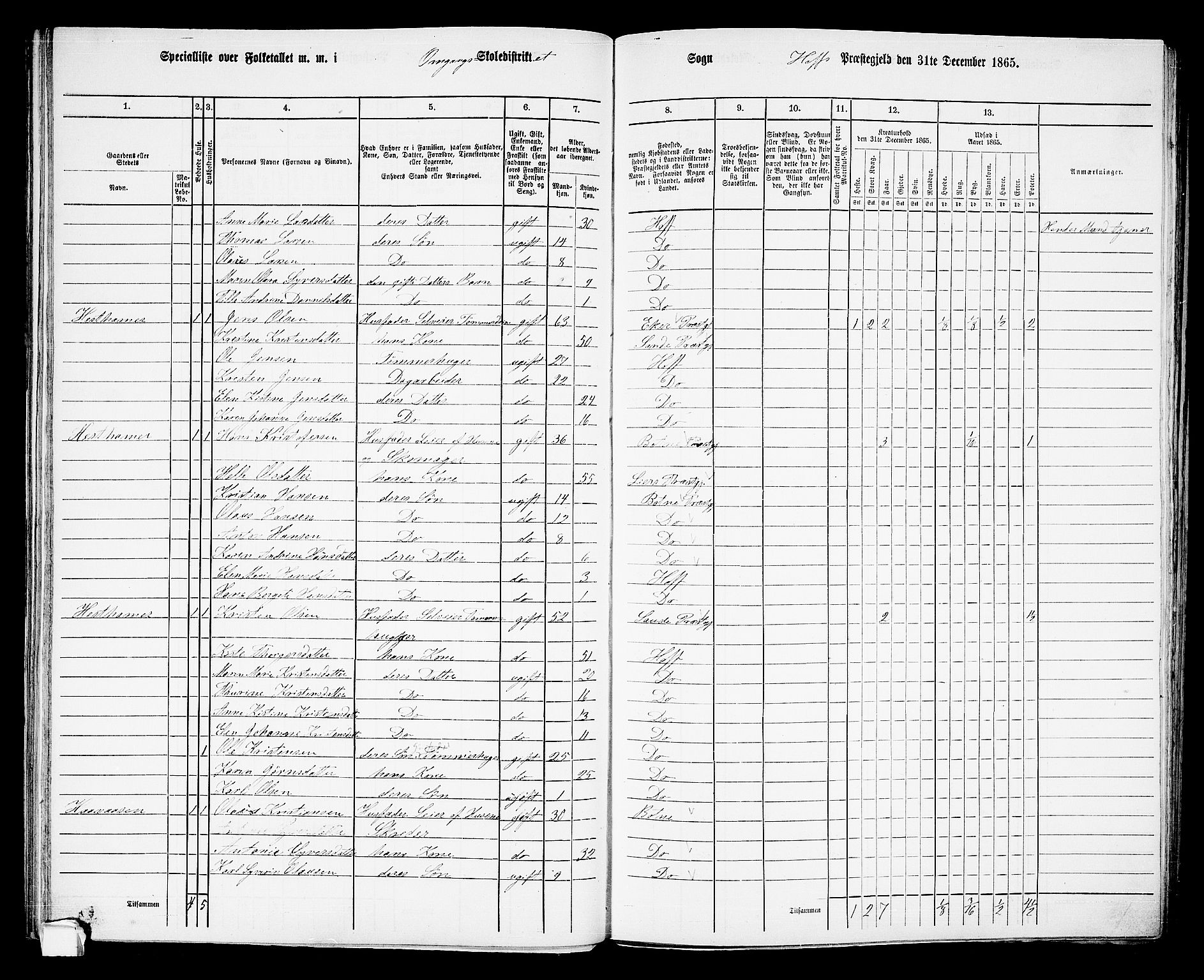 RA, 1865 census for Hof, 1865, p. 50