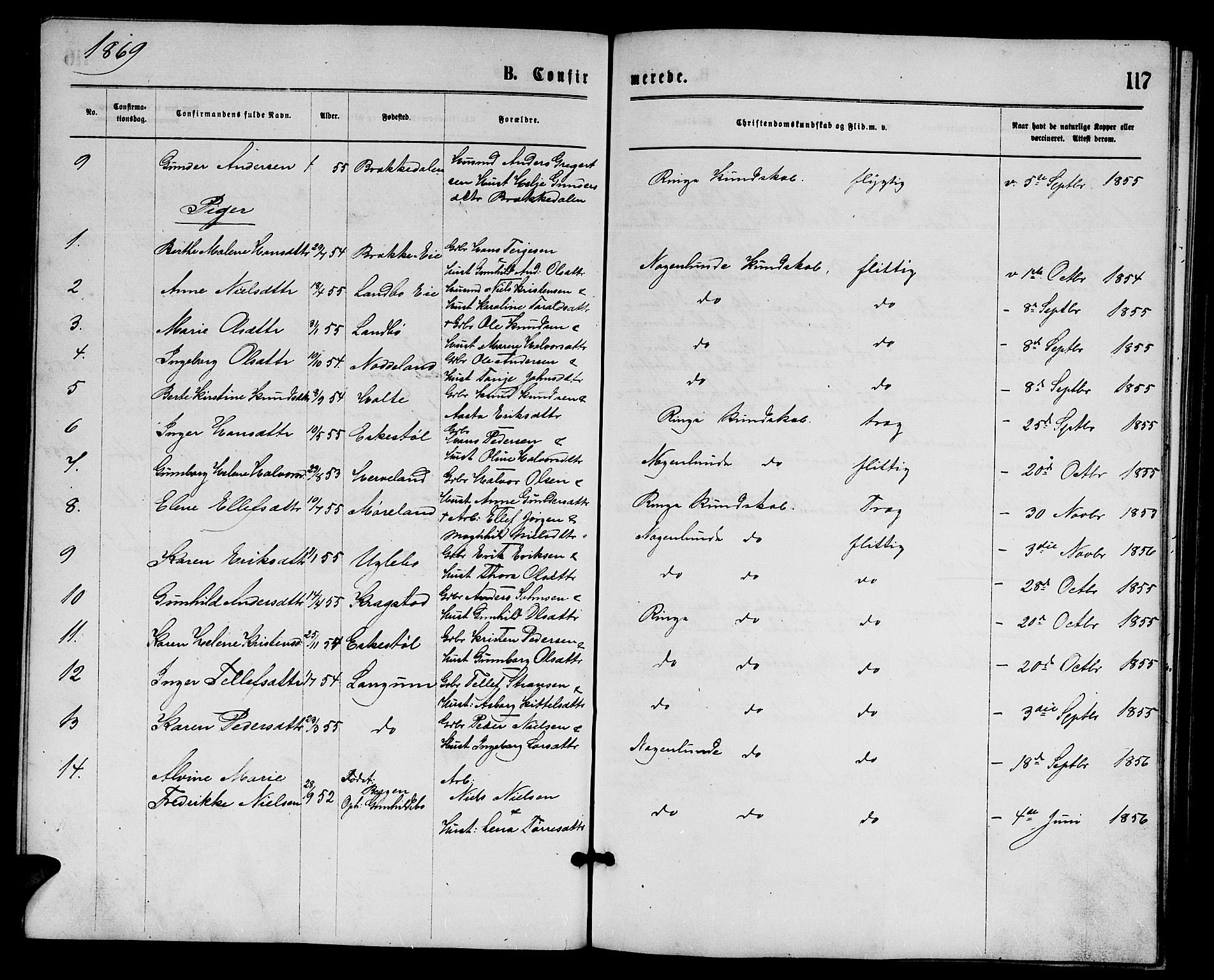 Austre Moland sokneprestkontor, SAK/1111-0001/F/Fb/Fba/L0002: Parish register (copy) no. B 2, 1869-1879, p. 117