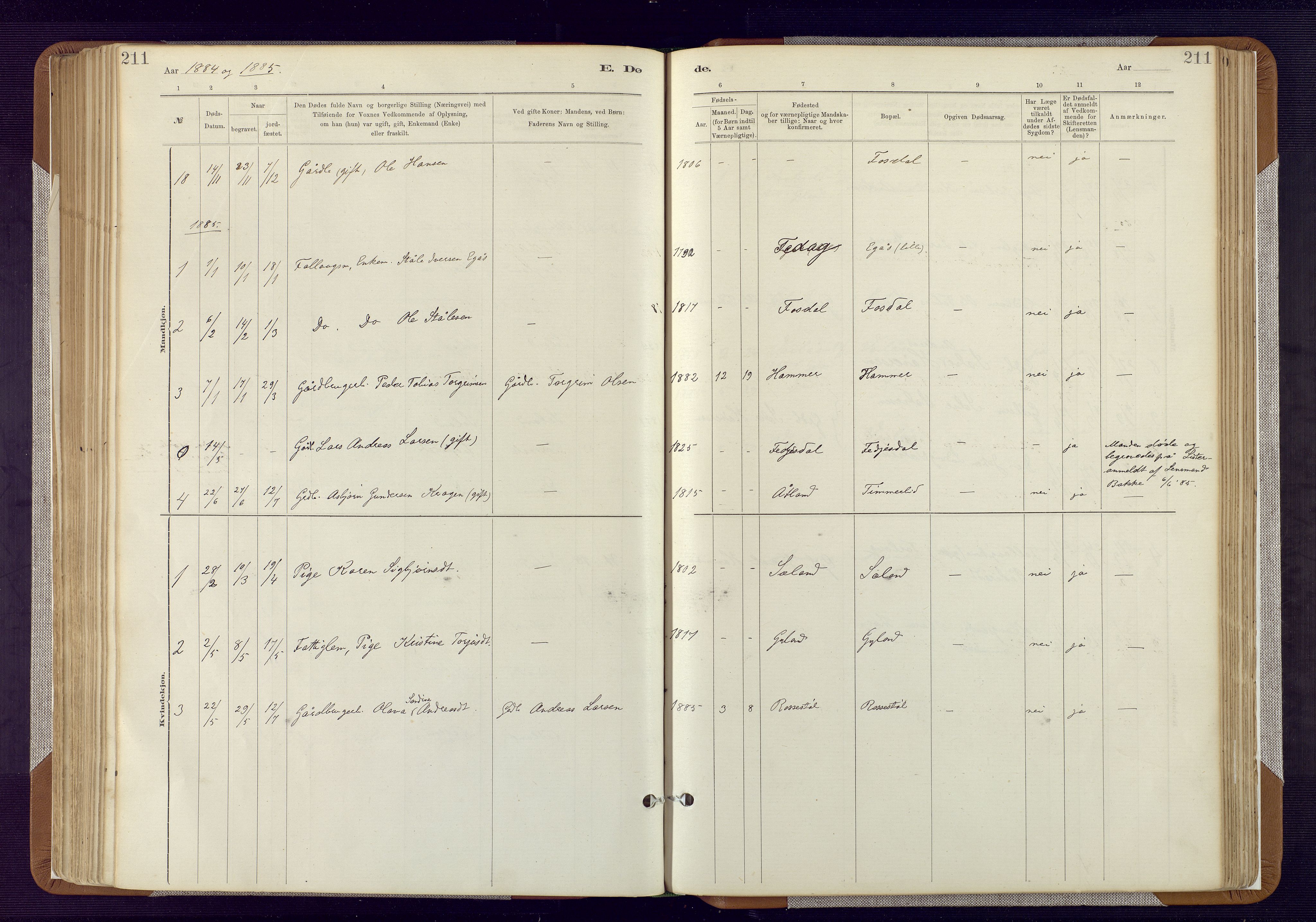 Bakke sokneprestkontor, SAK/1111-0002/F/Fa/Fab/L0003: Parish register (official) no. A 3, 1884-1921, p. 211