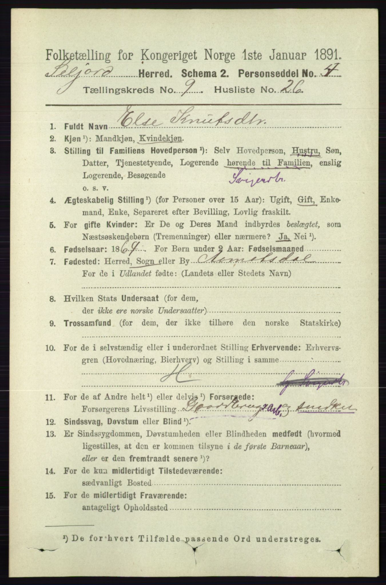 RA, 1891 census for 0828 Seljord, 1891, p. 3315