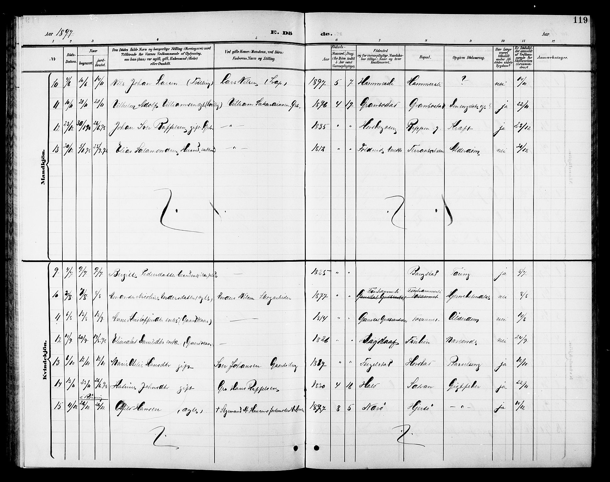 Ministerialprotokoller, klokkerbøker og fødselsregistre - Nordland, AV/SAT-A-1459/810/L0161: Parish register (copy) no. 810C04, 1897-1910, p. 119