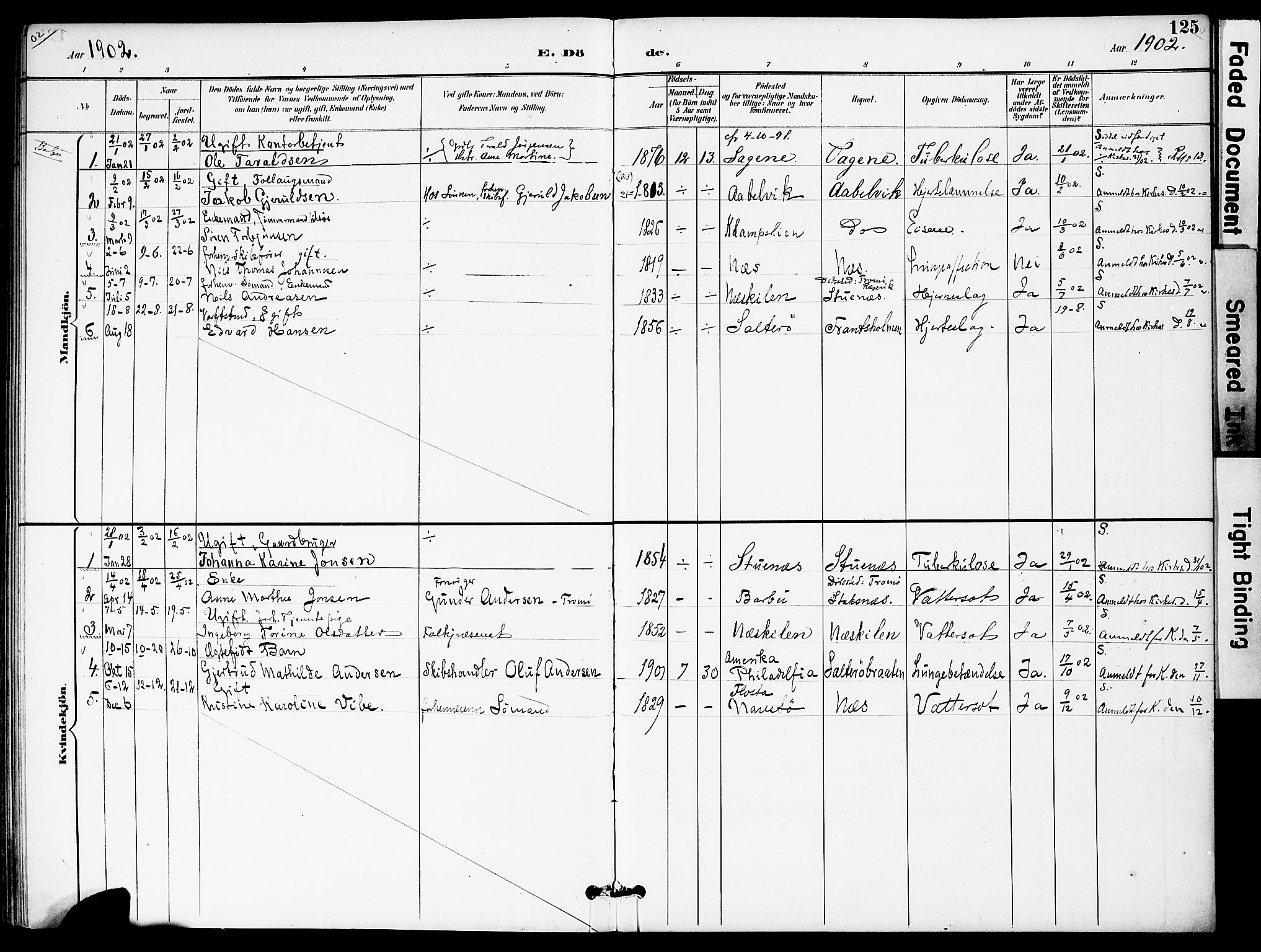Austre Moland sokneprestkontor, SAK/1111-0001/F/Fa/Fab/L0002: Parish register (official) no. A 2, 1894-1919, p. 125