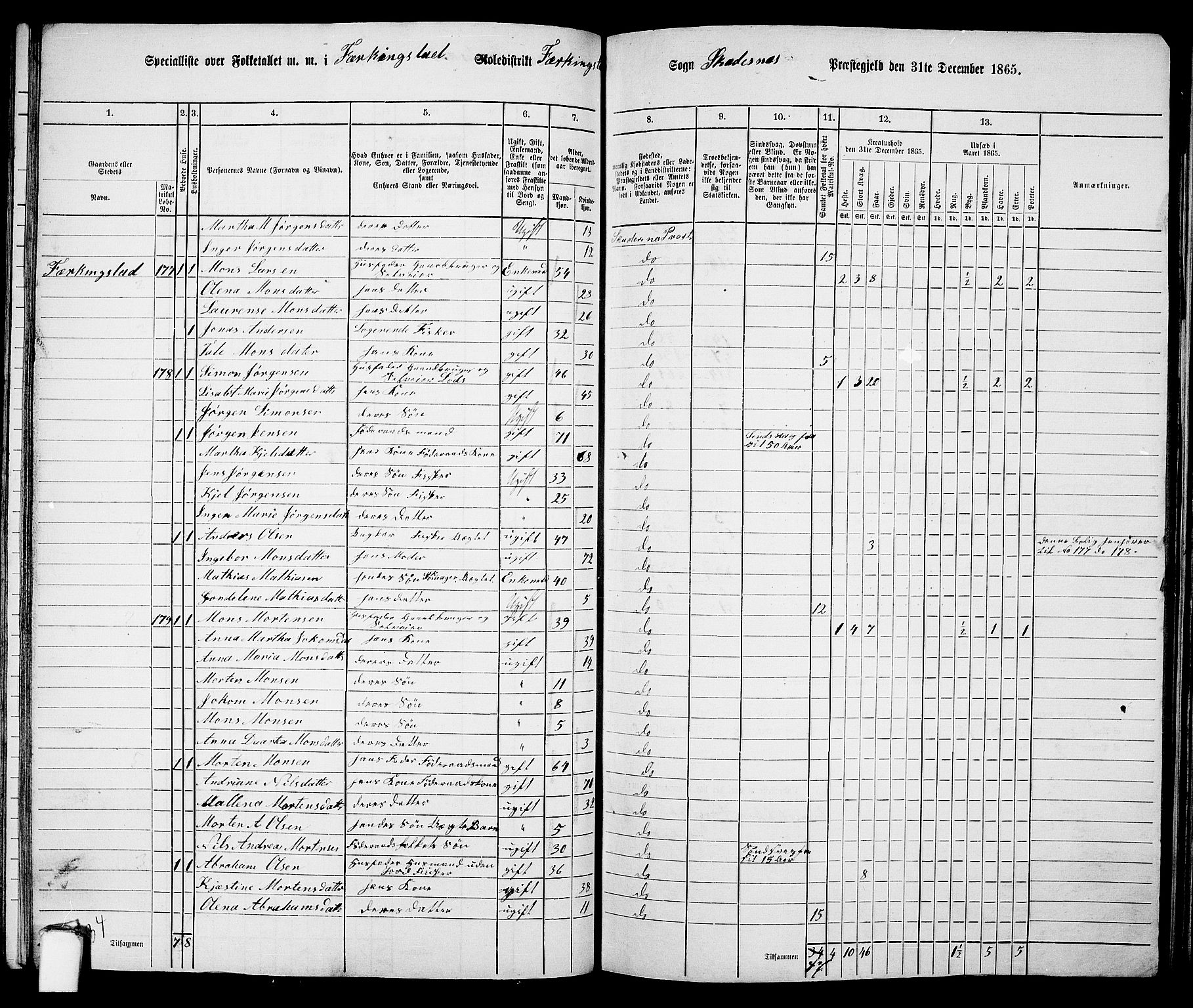 RA, 1865 census for Skudenes, 1865, p. 95