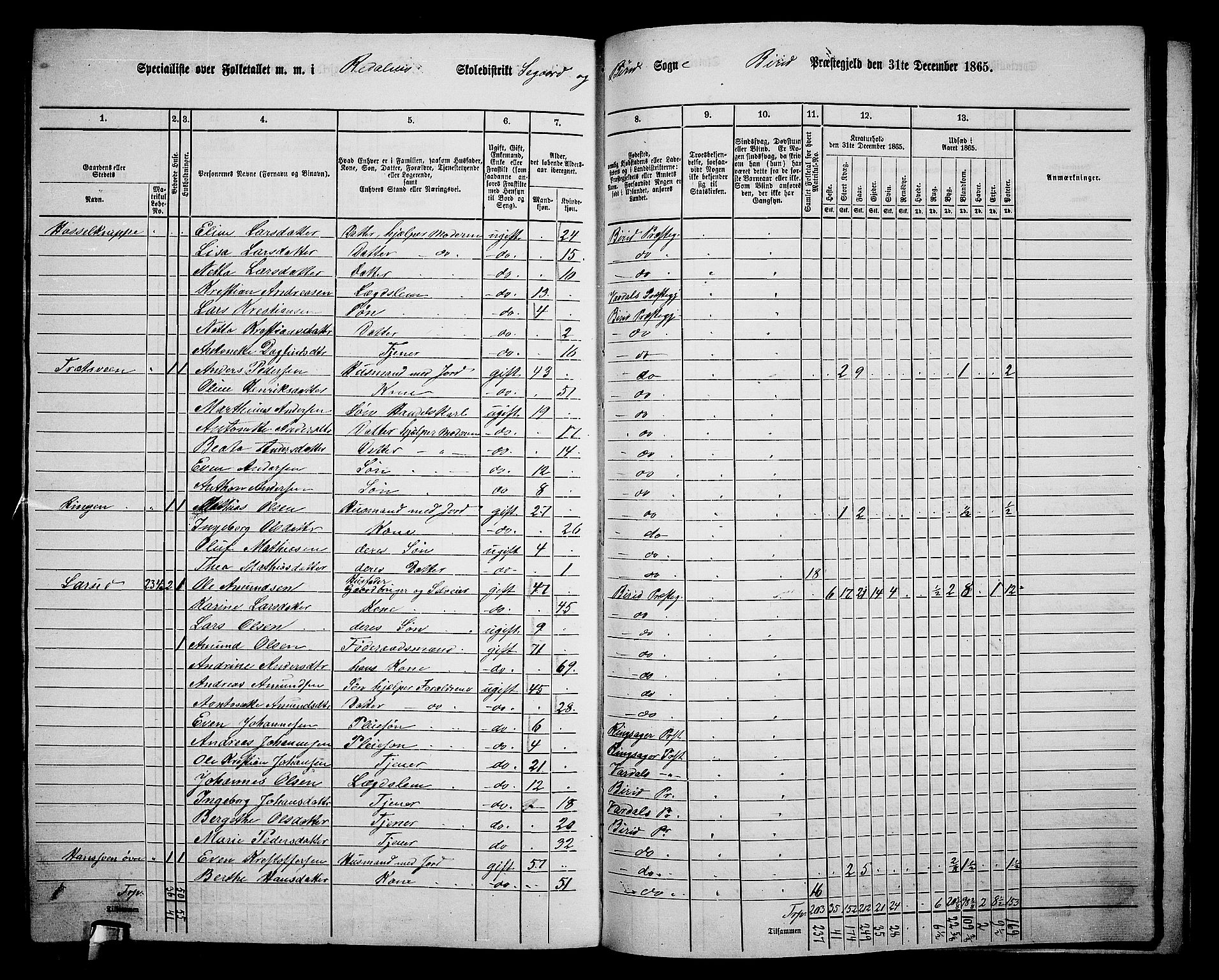 RA, 1865 census for Biri, 1865, p. 205