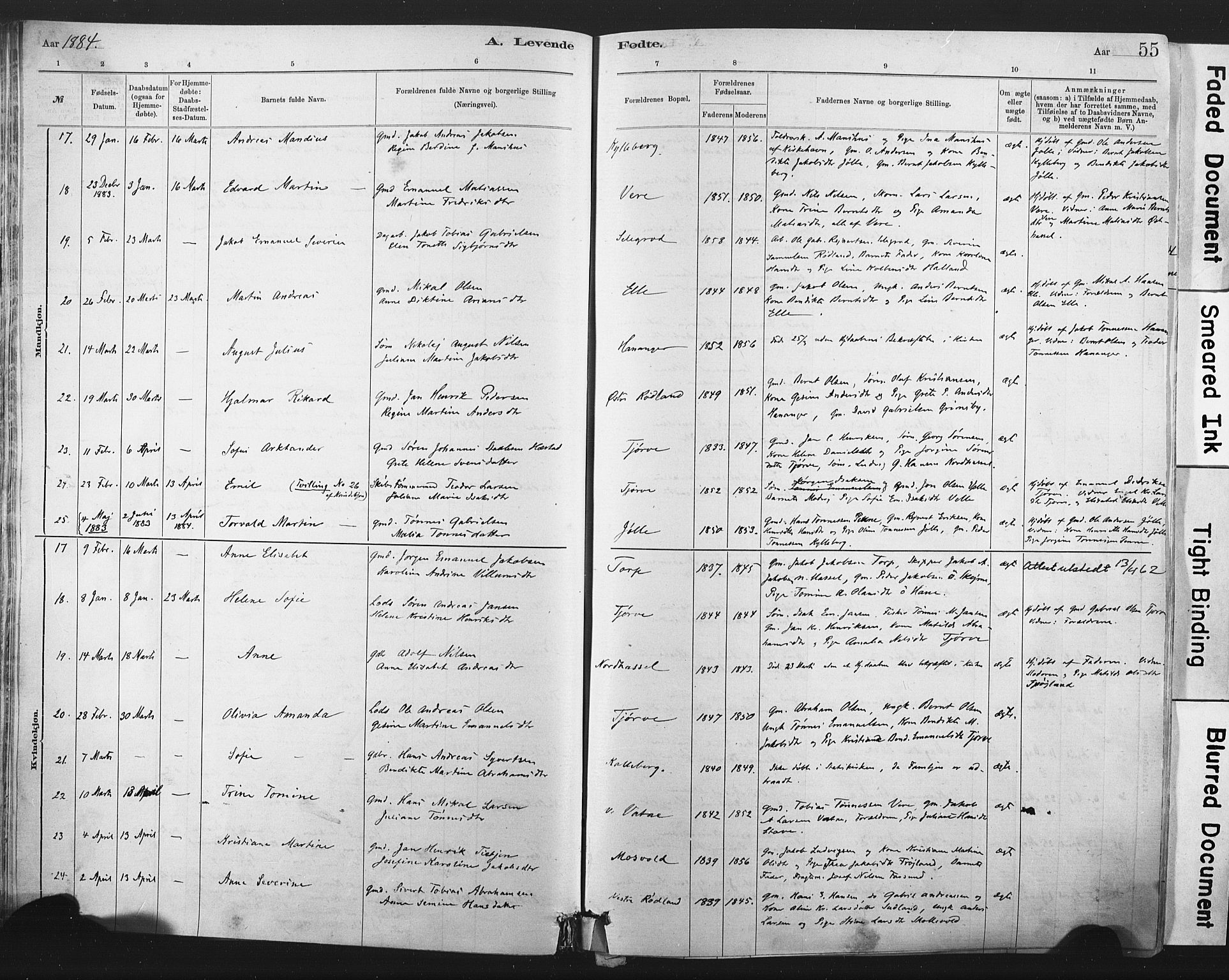 Lista sokneprestkontor, AV/SAK-1111-0027/F/Fa/L0012: Parish register (official) no. A 12, 1879-1903, p. 55