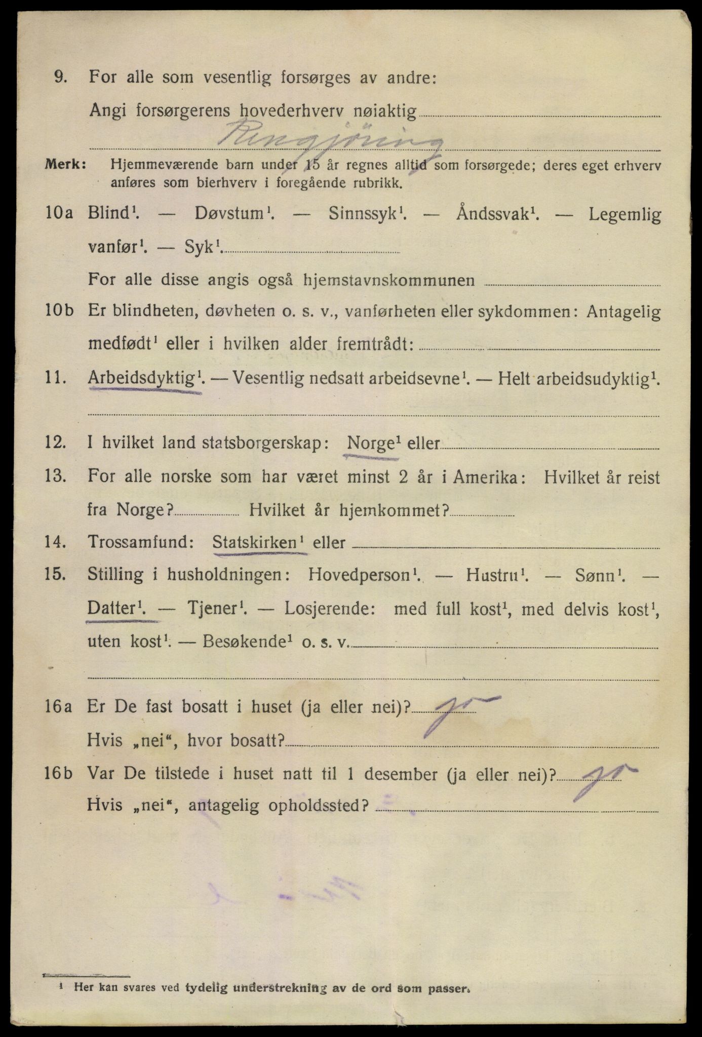 SAKO, 1920 census for Larvik, 1920, p. 22953