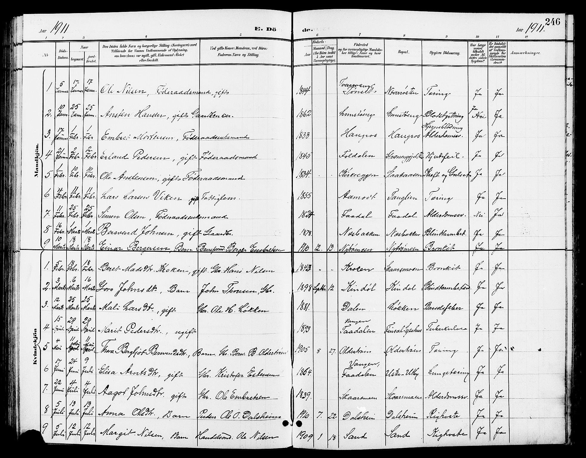 Tynset prestekontor, AV/SAH-PREST-058/H/Ha/Hab/L0009: Parish register (copy) no. 9, 1900-1914, p. 246