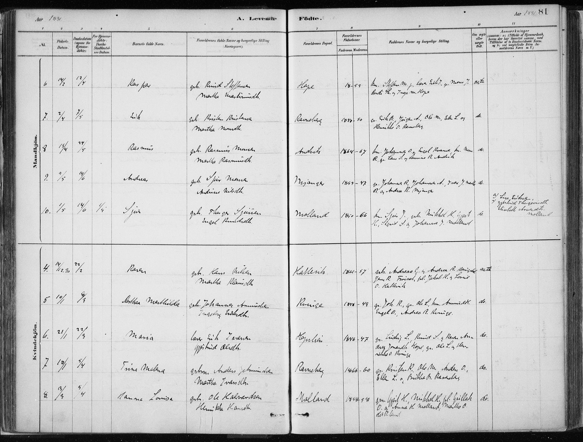 Masfjorden Sokneprestembete, SAB/A-77001: Parish register (official) no. B  1, 1876-1899, p. 81