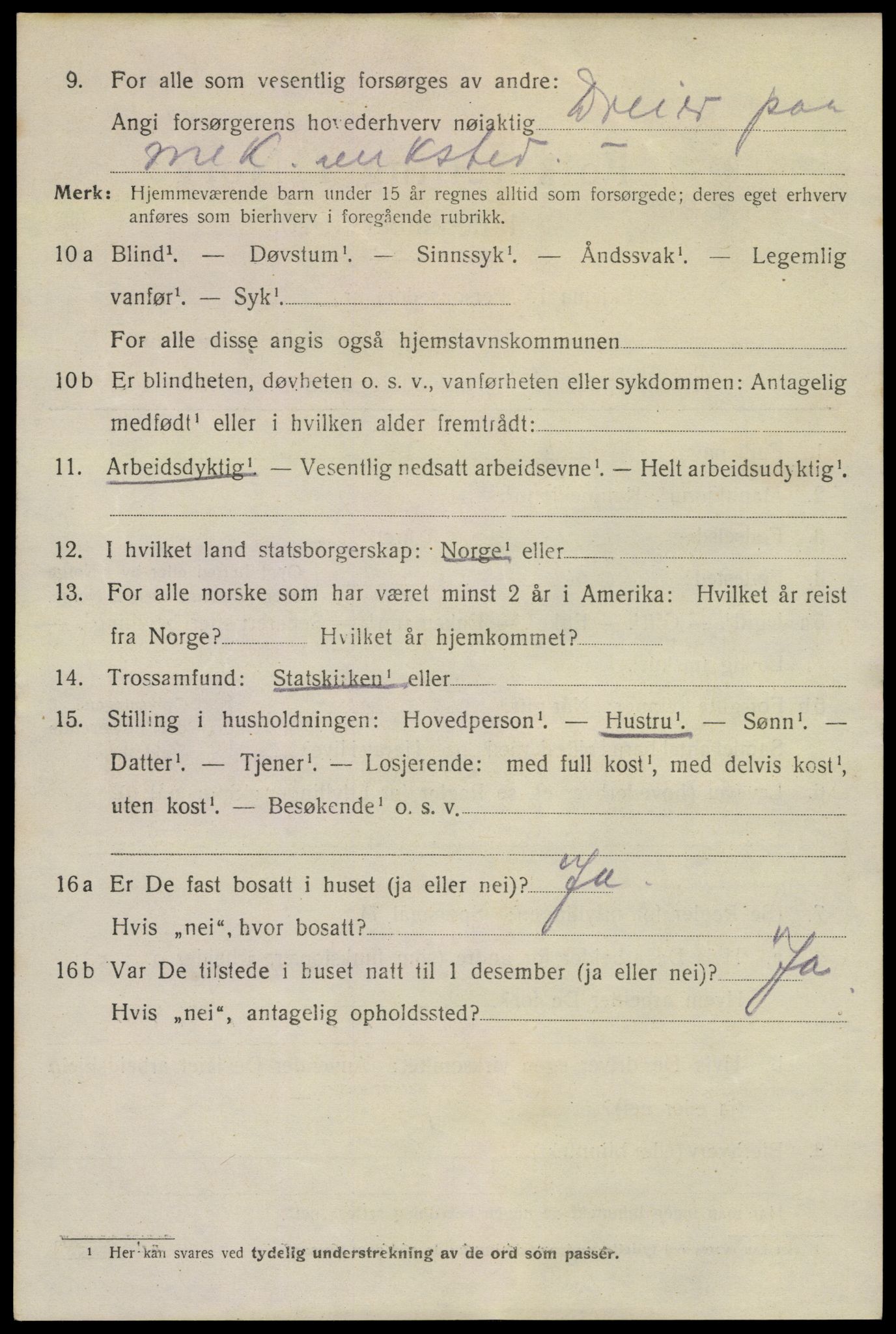 SAKO, 1920 census for Horten, 1920, p. 16250