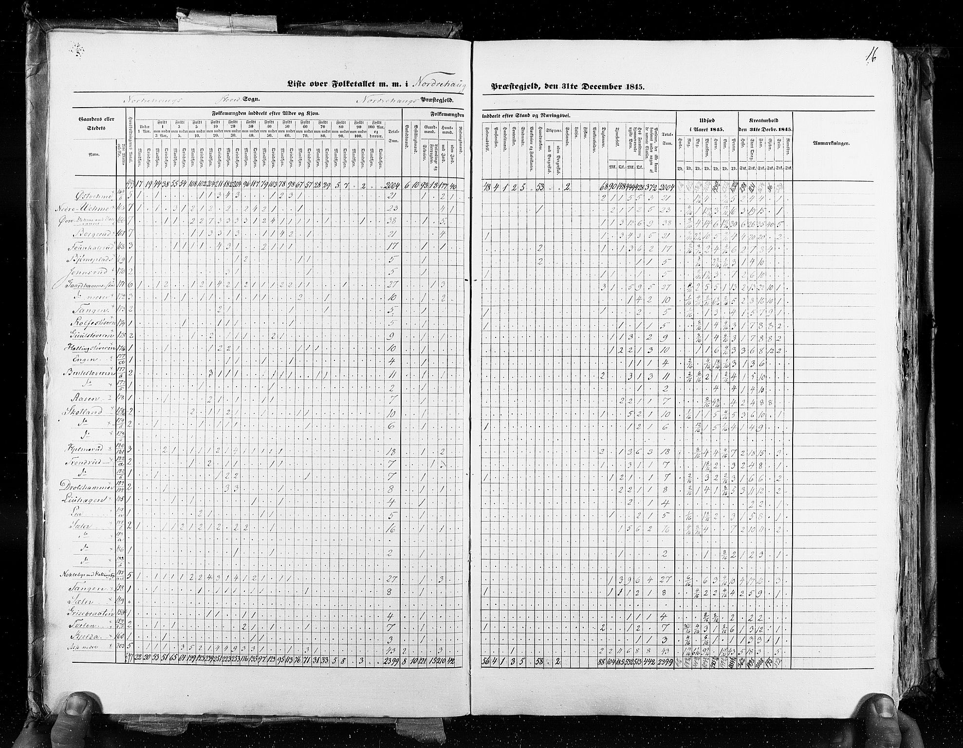 RA, Census 1845, vol. 4: Buskerud amt og Jarlsberg og Larvik amt, 1845, p. 16