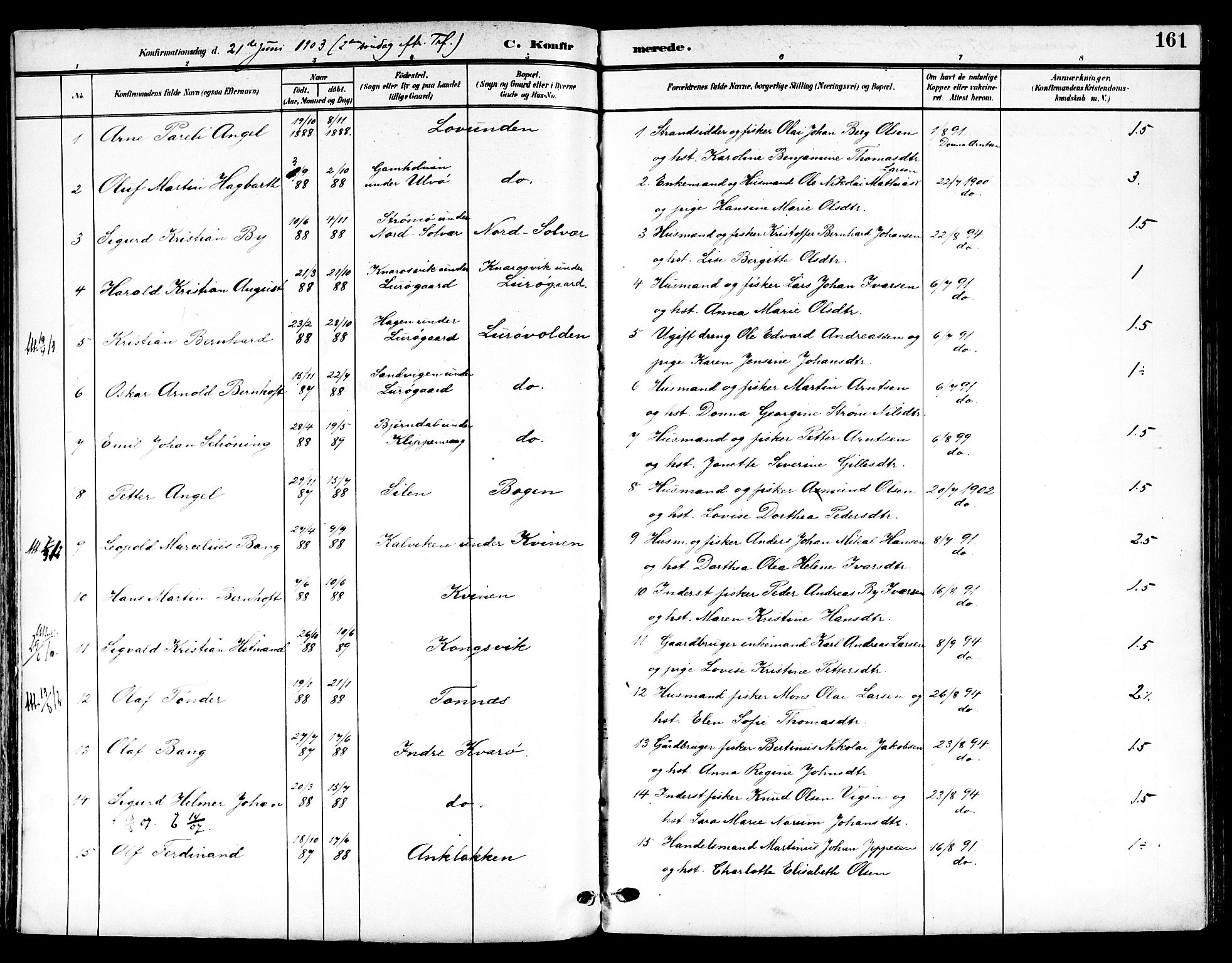 Ministerialprotokoller, klokkerbøker og fødselsregistre - Nordland, AV/SAT-A-1459/839/L0569: Parish register (official) no. 839A06, 1903-1922, p. 161