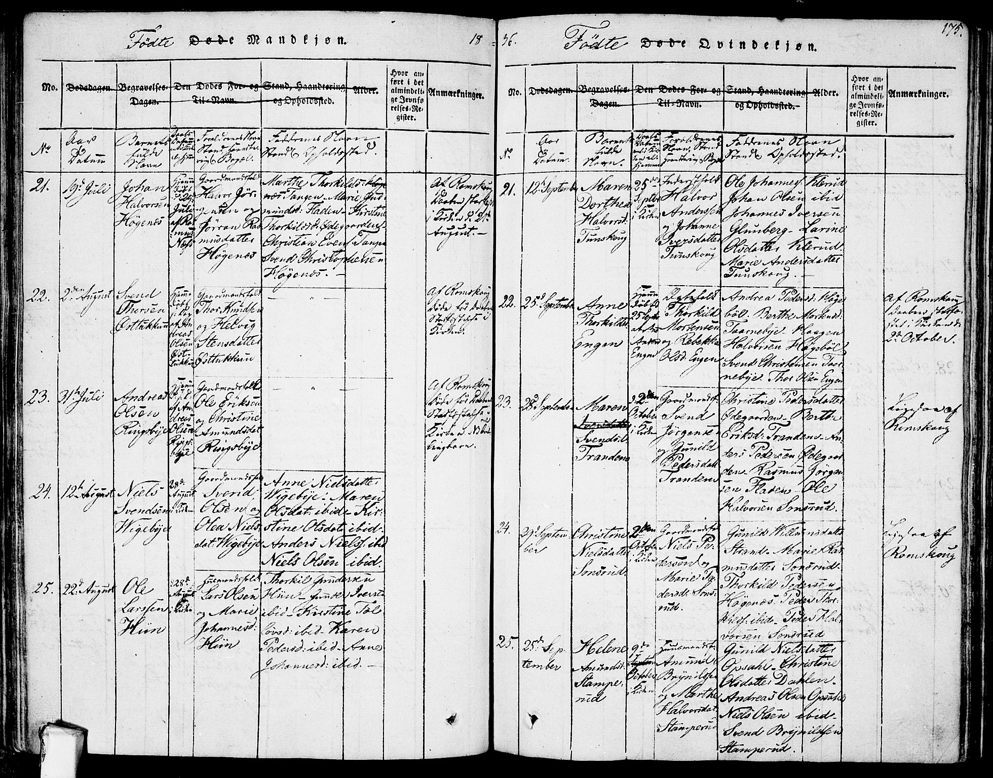 Rødenes prestekontor Kirkebøker, AV/SAO-A-2005/F/Fa/L0004: Parish register (official) no. I 4, 1814-1838, p. 175