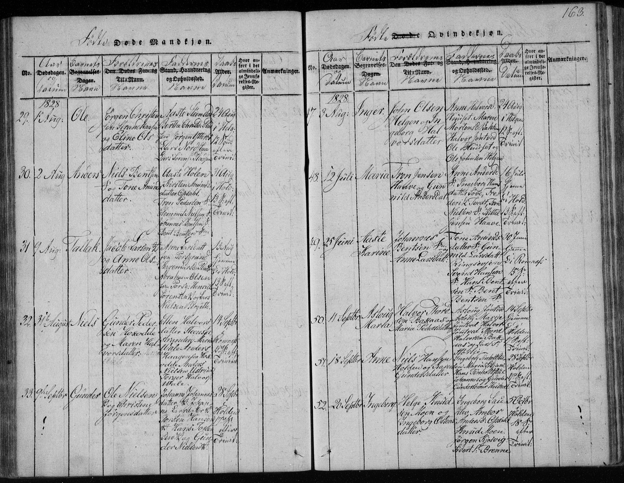 Holla kirkebøker, AV/SAKO-A-272/F/Fa/L0003: Parish register (official) no. 3, 1815-1830, p. 163