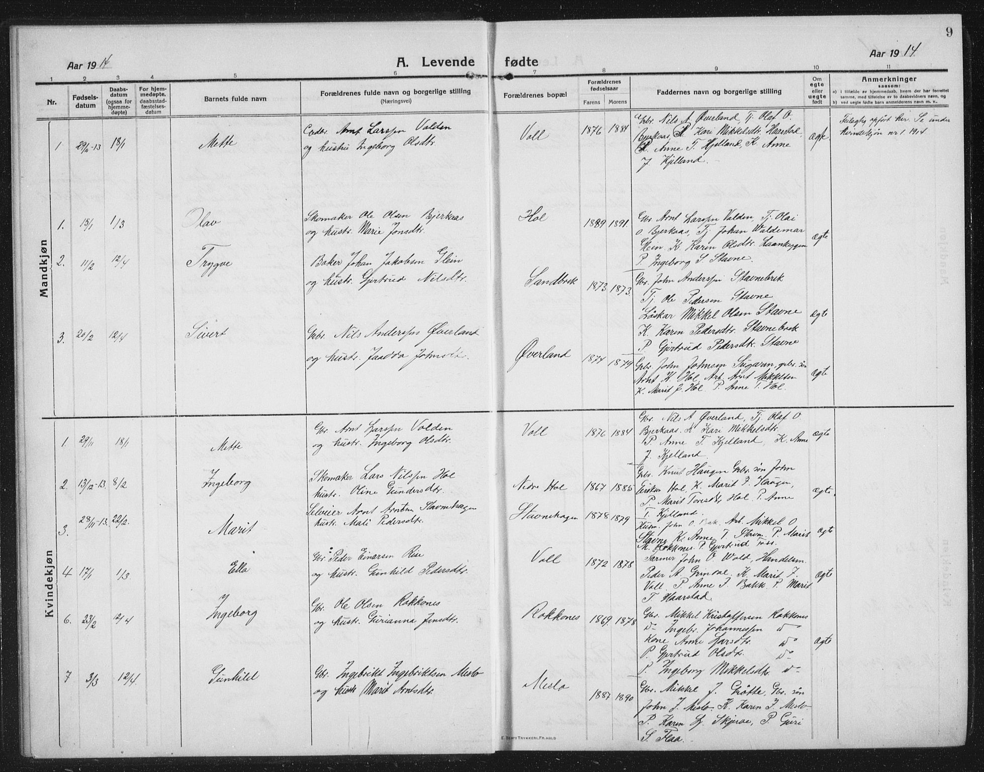 Ministerialprotokoller, klokkerbøker og fødselsregistre - Sør-Trøndelag, SAT/A-1456/674/L0877: Parish register (copy) no. 674C04, 1913-1940, p. 9