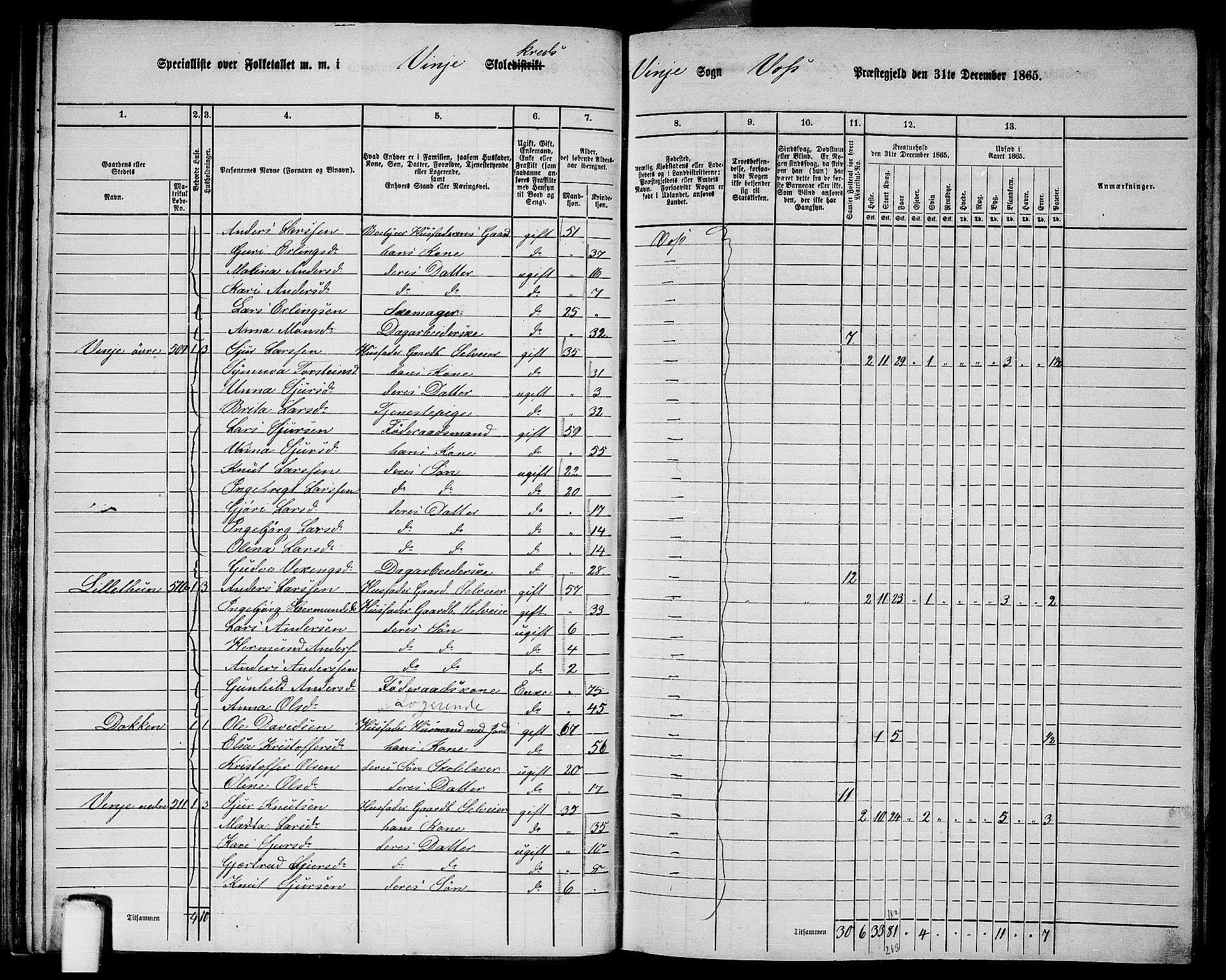 RA, 1865 census for Voss, 1865, p. 278