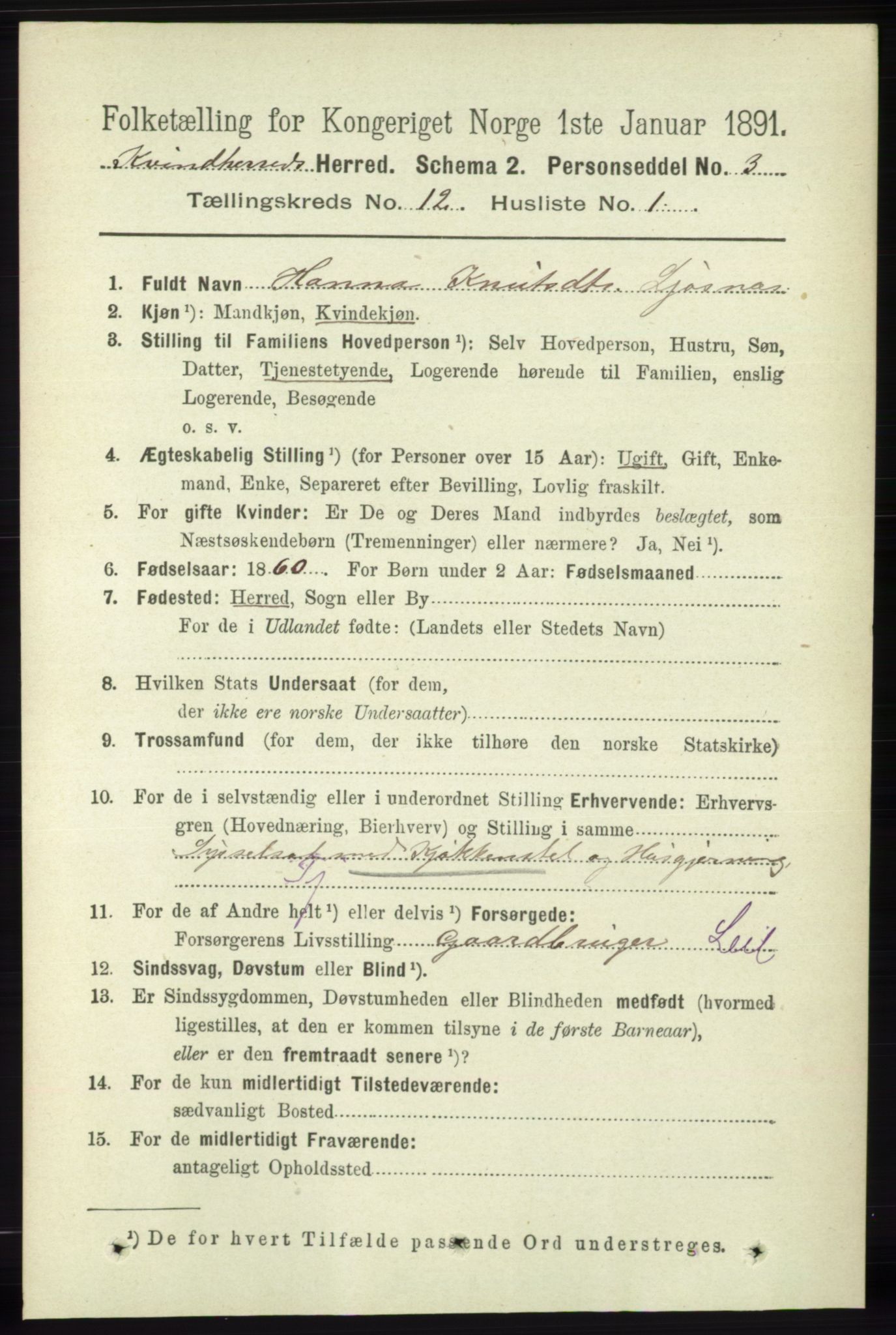 RA, 1891 census for 1224 Kvinnherad, 1891, p. 3967