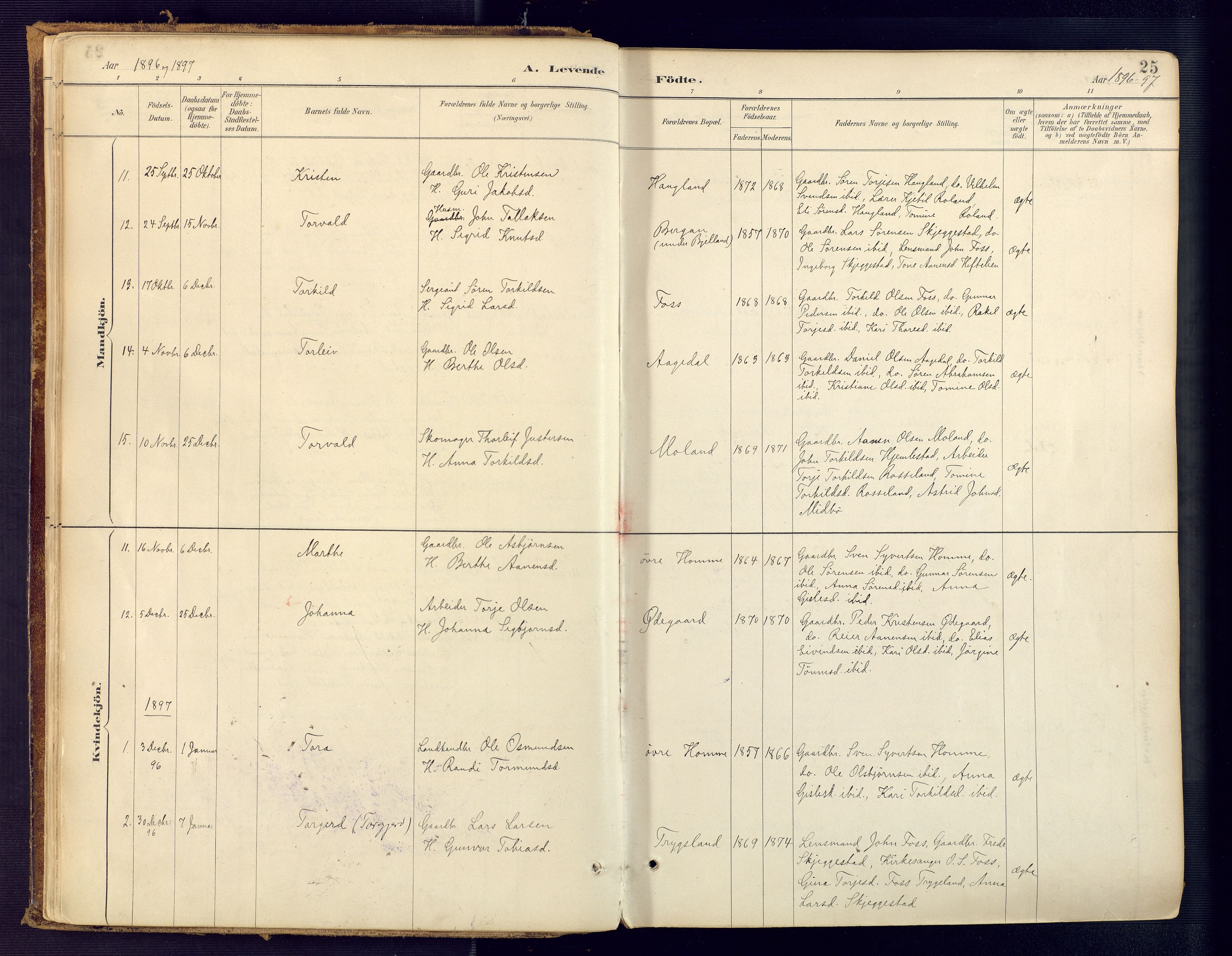 Bjelland sokneprestkontor, SAK/1111-0005/F/Fa/Faa/L0004: Parish register (official) no. A 4, 1887-1923, p. 25