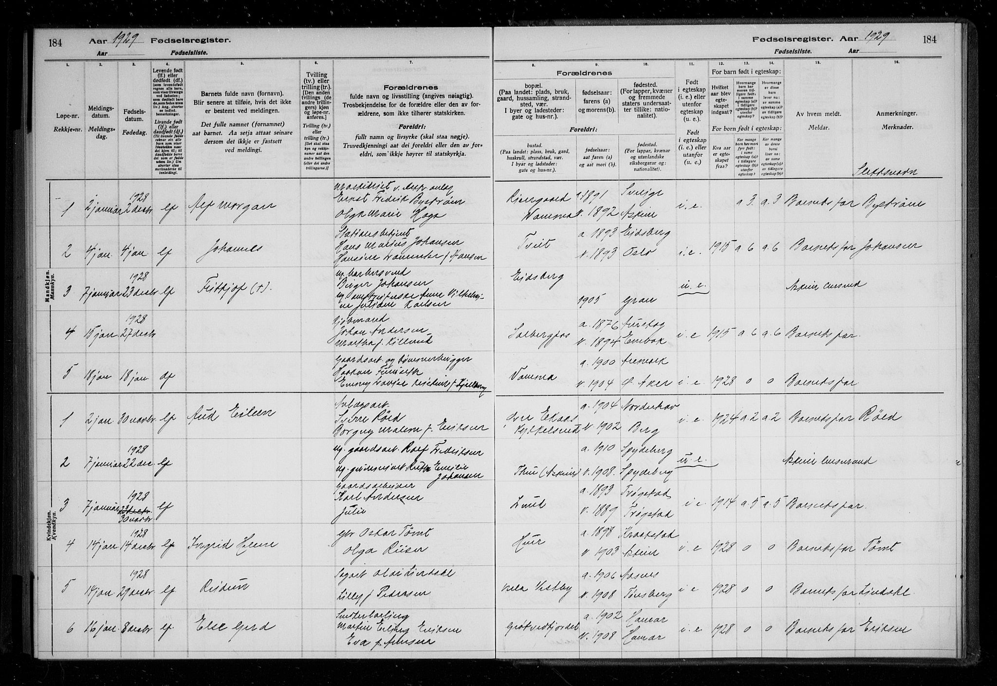 Askim prestekontor Kirkebøker, AV/SAO-A-10900/J/Ja/L0001: Birth register no. 1, 1916-1929, p. 184