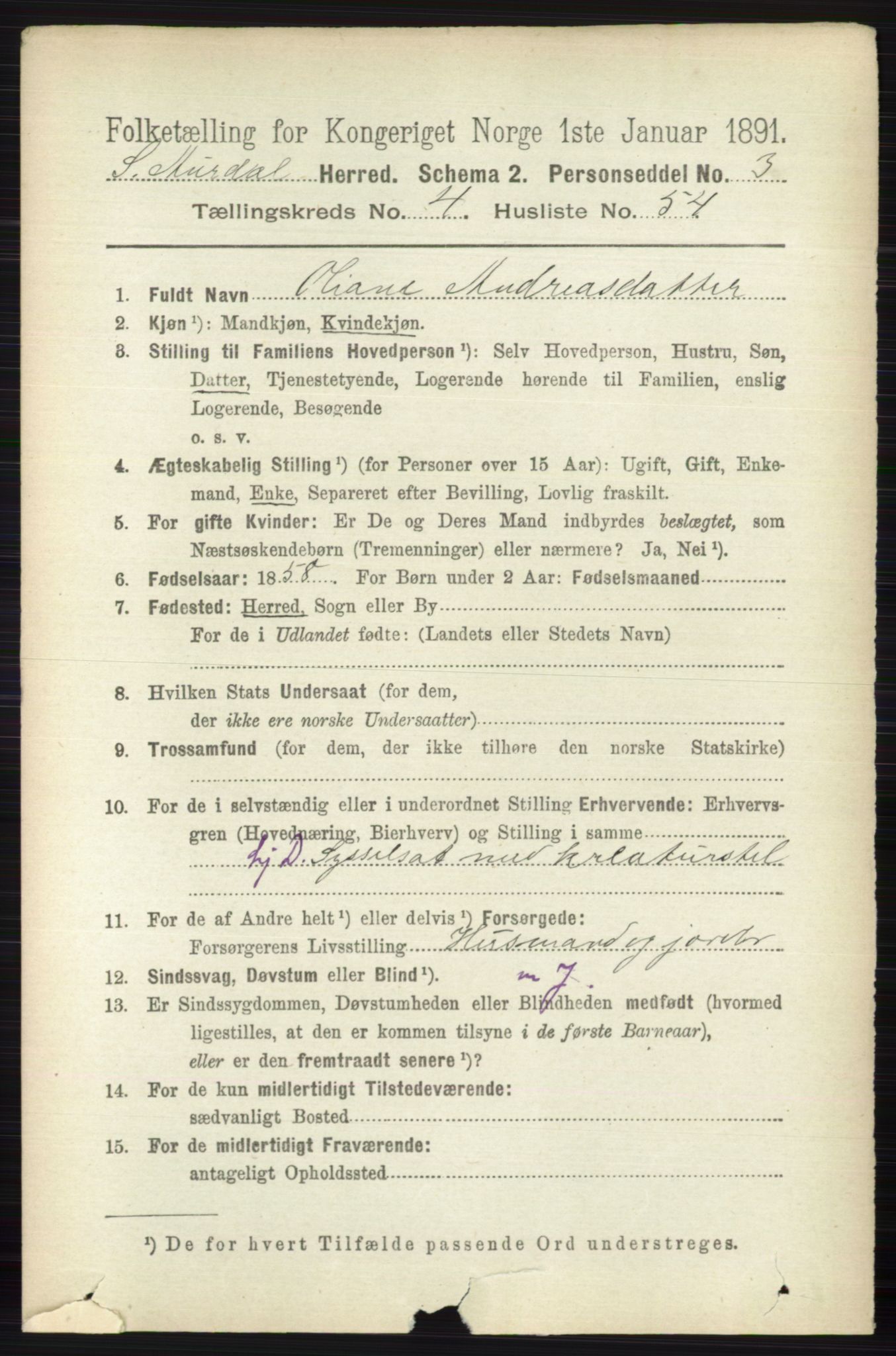 RA, 1891 census for 0540 Sør-Aurdal, 1891, p. 3069