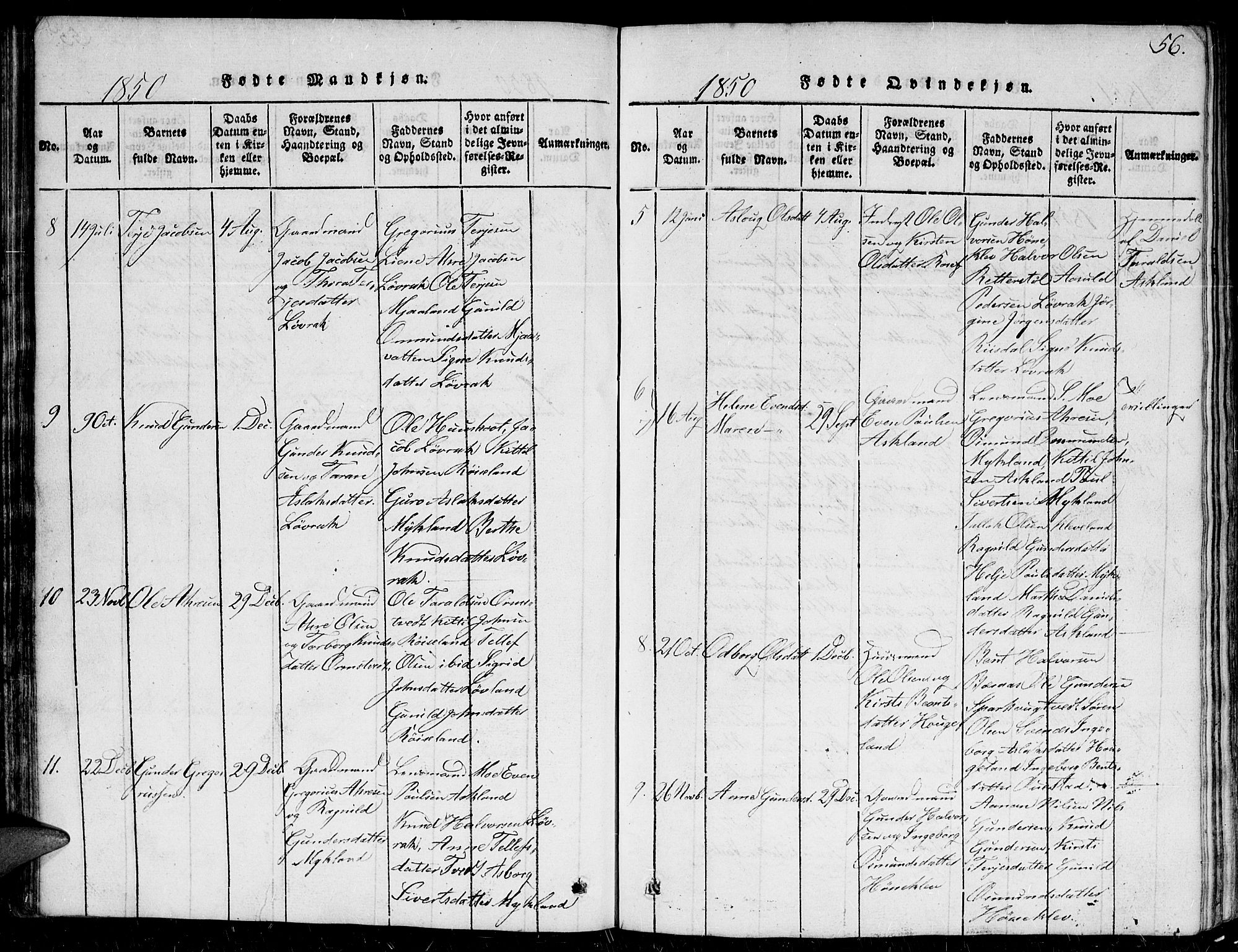 Herefoss sokneprestkontor, AV/SAK-1111-0019/F/Fb/Fbc/L0001: Parish register (copy) no. B 1, 1816-1866, p. 56