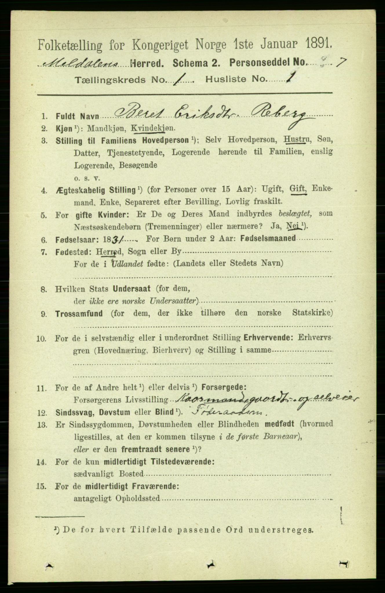 RA, 1891 census for 1636 Meldal, 1891, p. 161