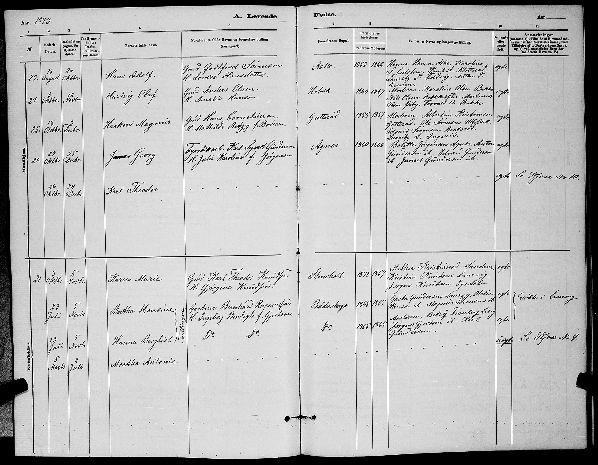 Brunlanes kirkebøker, AV/SAKO-A-342/G/Ga/L0003: Parish register (copy) no. I 3, 1877-1898