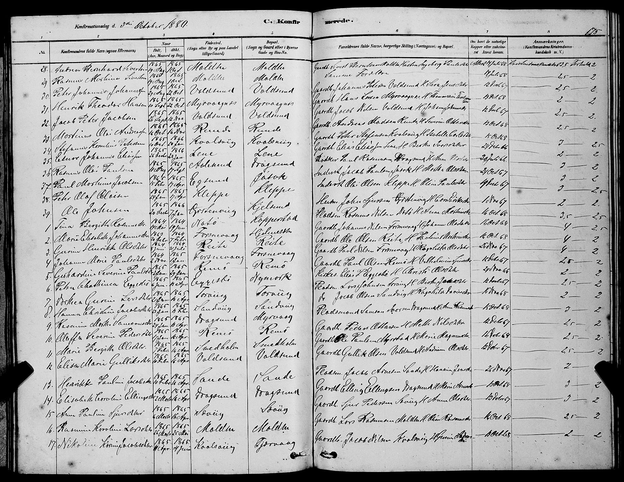 Ministerialprotokoller, klokkerbøker og fødselsregistre - Møre og Romsdal, AV/SAT-A-1454/507/L0081: Parish register (copy) no. 507C04, 1878-1898, p. 175