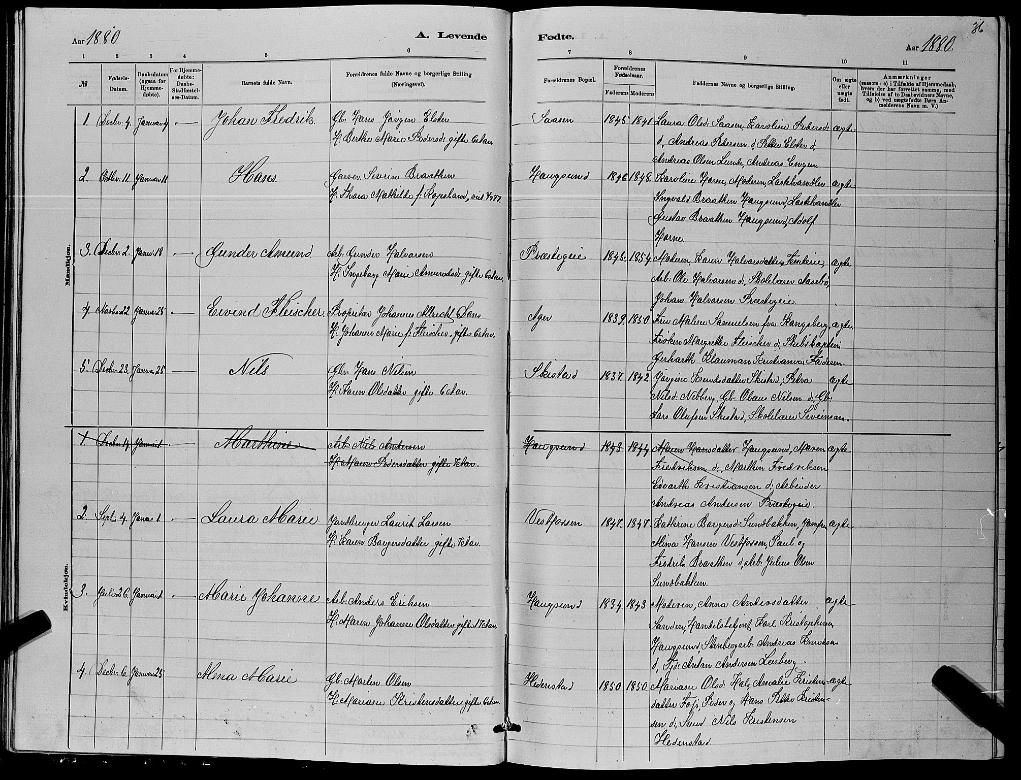 Eiker kirkebøker, AV/SAKO-A-4/G/Ga/L0005: Parish register (copy) no. I 5, 1878-1887, p. 36