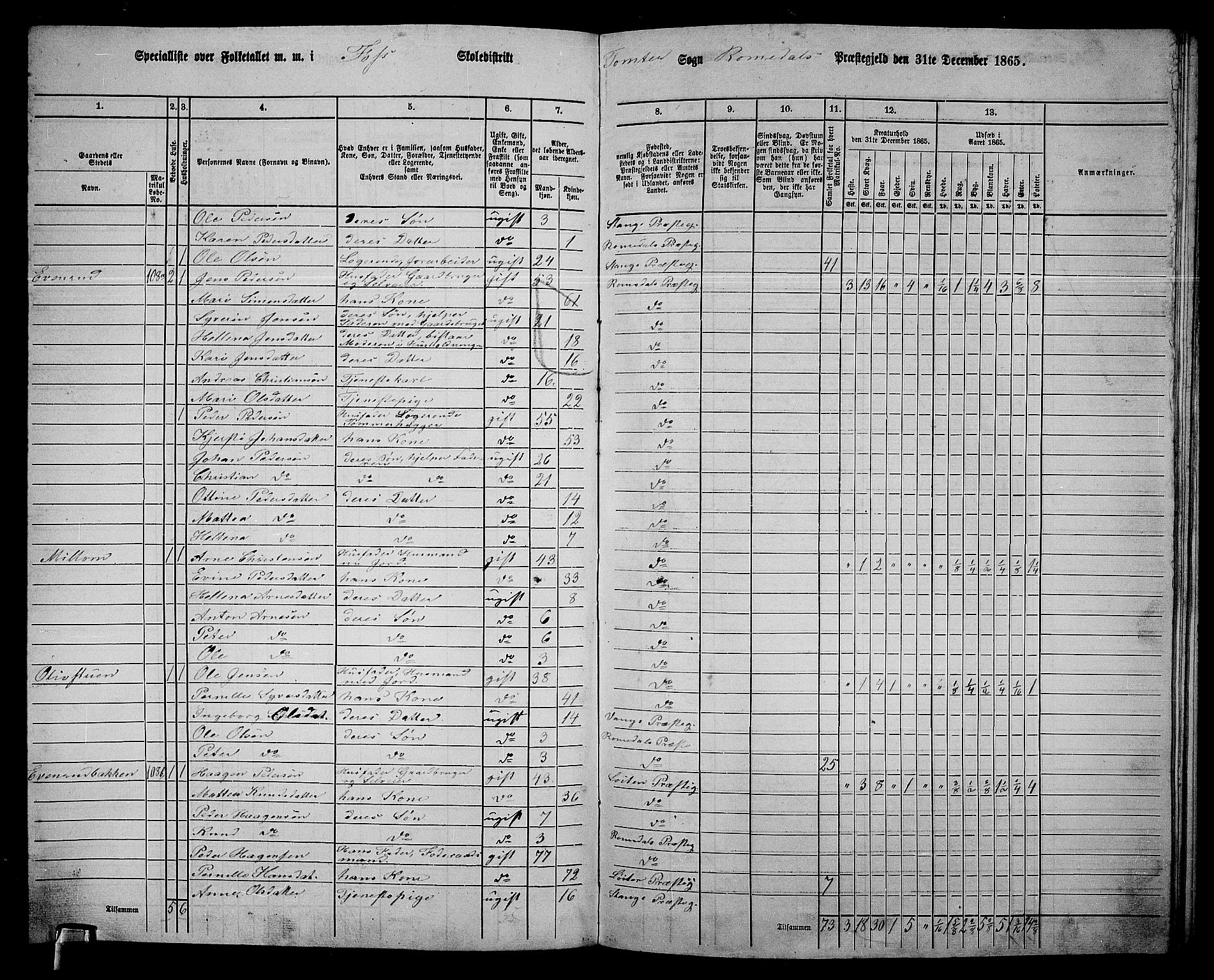 RA, 1865 census for Romedal, 1865, p. 168