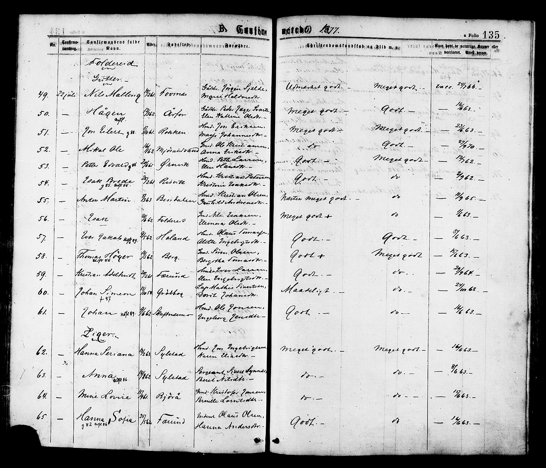 Ministerialprotokoller, klokkerbøker og fødselsregistre - Nord-Trøndelag, AV/SAT-A-1458/780/L0642: Parish register (official) no. 780A07 /1, 1874-1885, p. 135