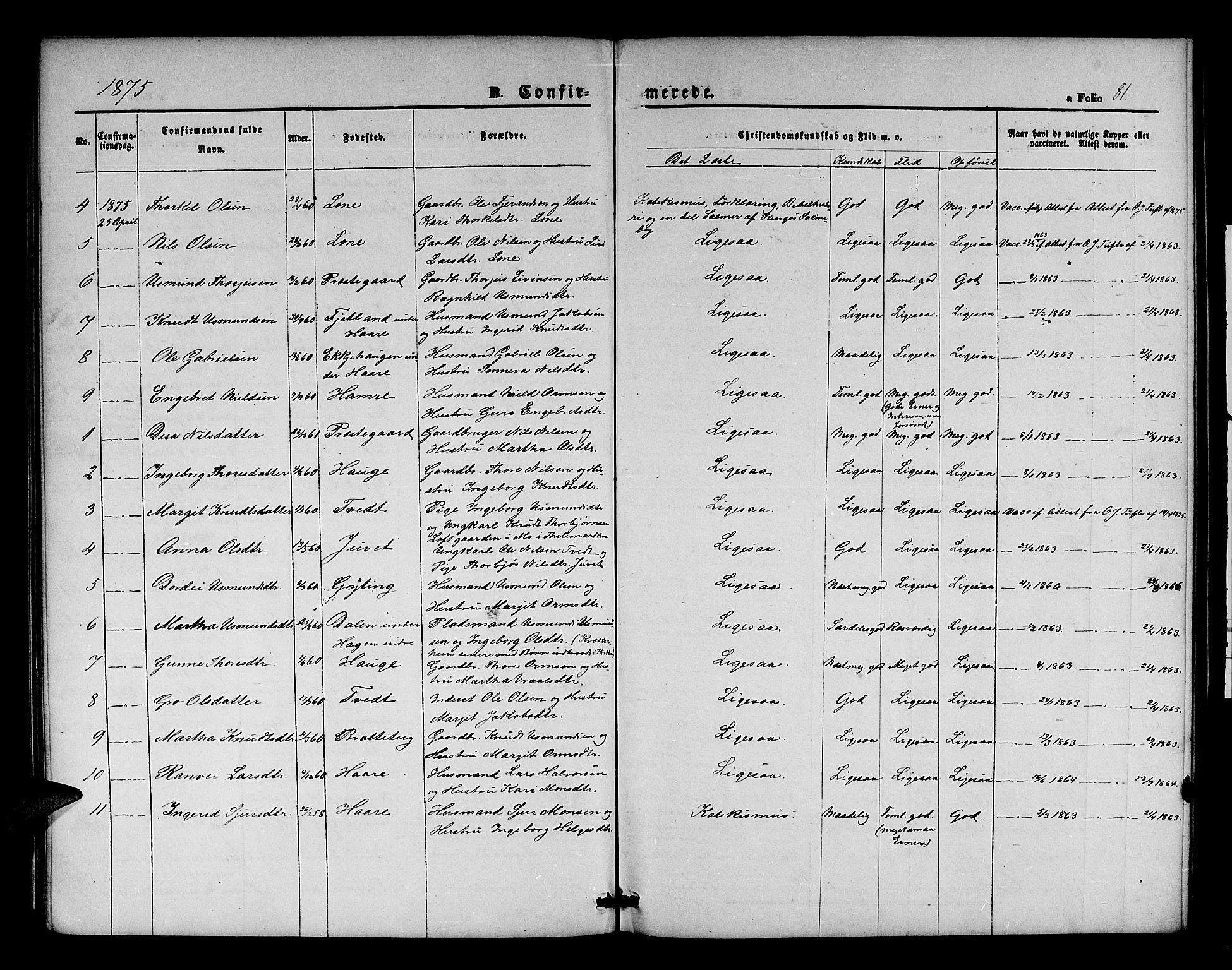 Røldal sokneprestembete, SAB/A-100247: Parish register (copy) no. A 2, 1861-1886, p. 81