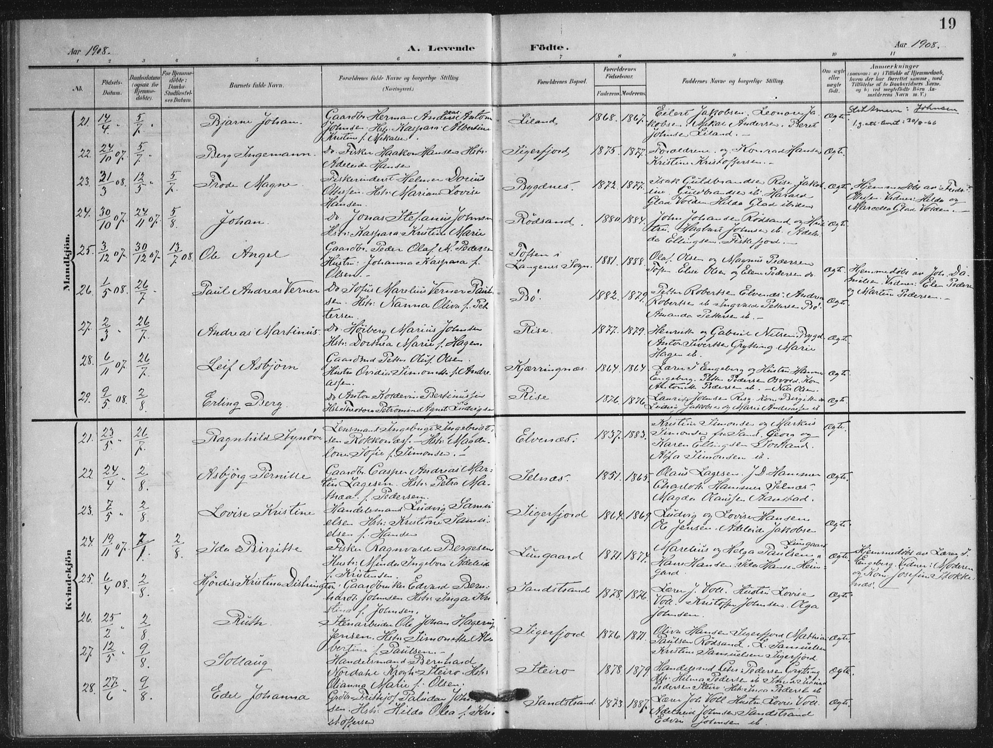 Ministerialprotokoller, klokkerbøker og fødselsregistre - Nordland, AV/SAT-A-1459/895/L1373: Parish register (official) no. 895A08, 1905-1915, p. 19