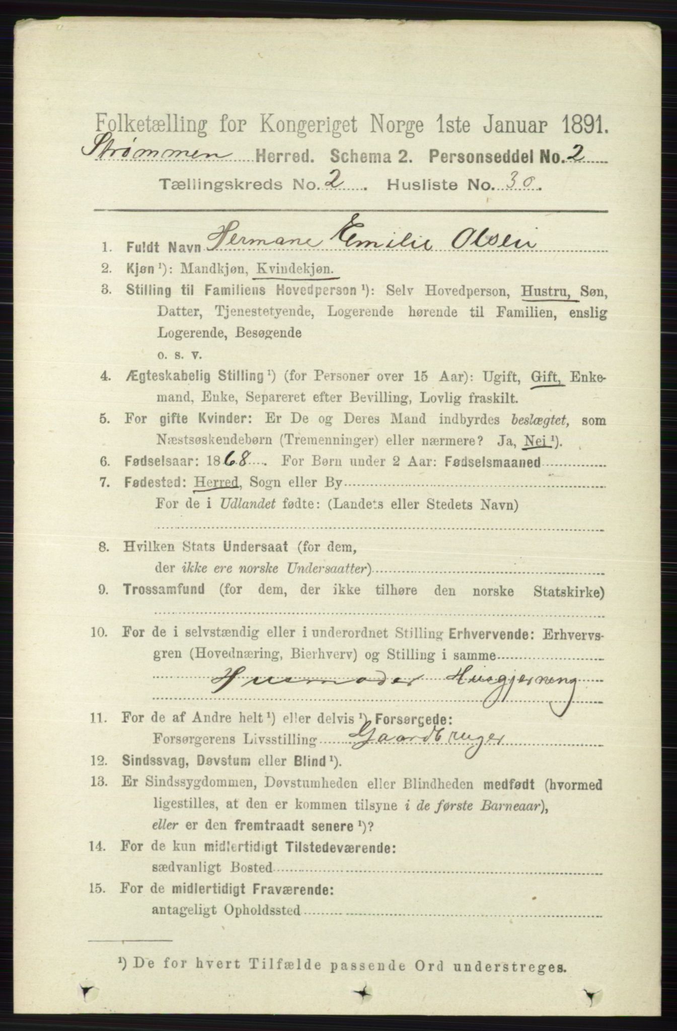 RA, 1891 census for 0711 Strømm, 1891, p. 869