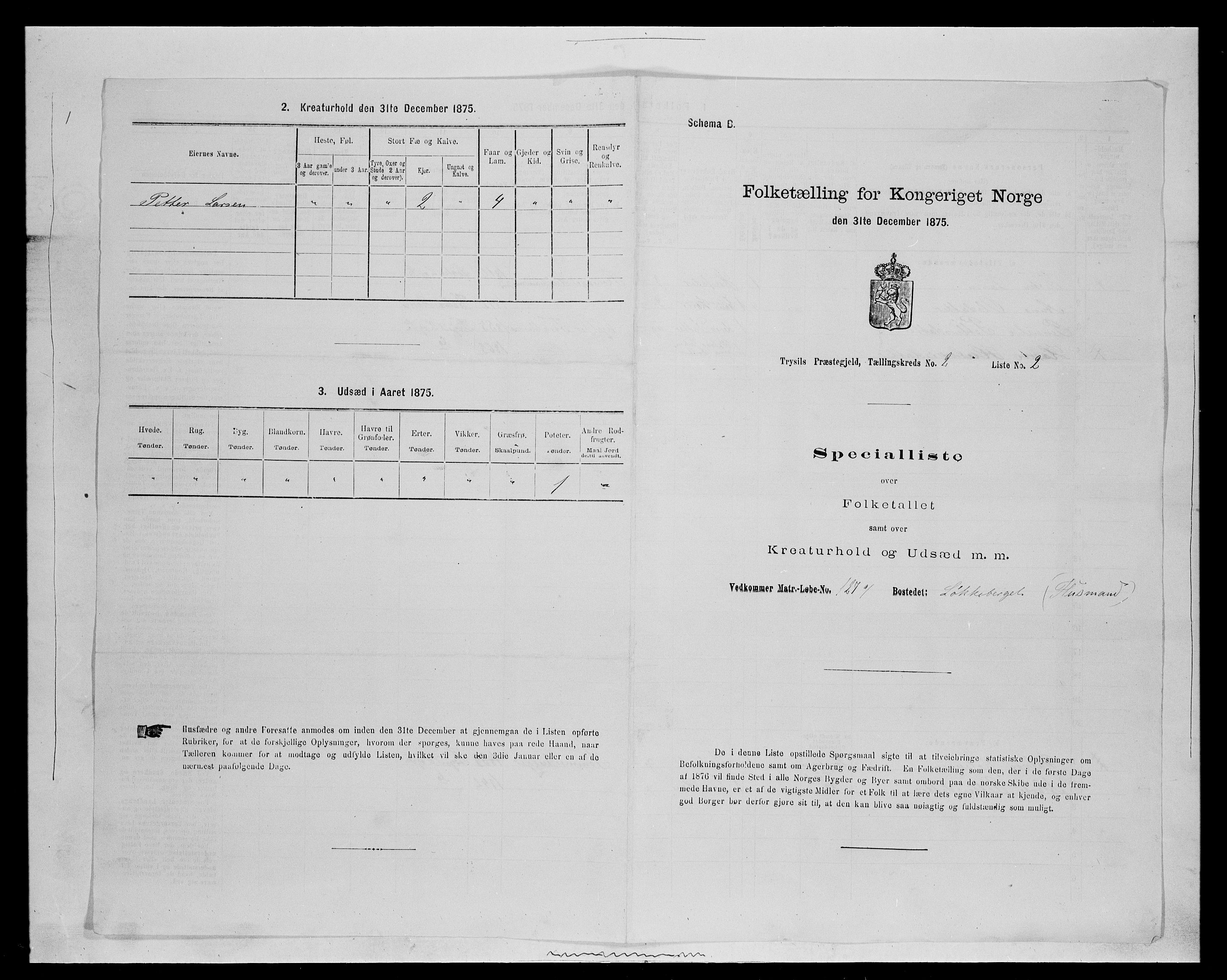 SAH, 1875 census for 0428P Trysil, 1875, p. 262