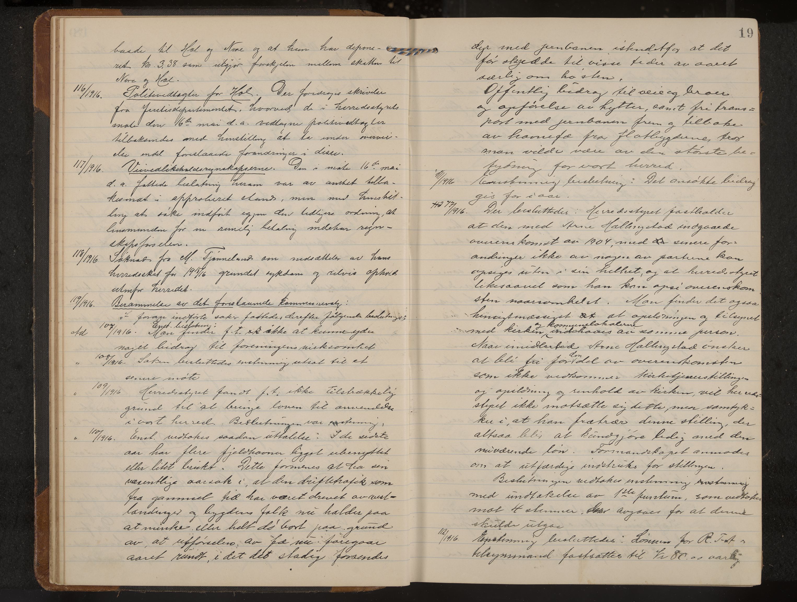 Hol formannskap og sentraladministrasjon, IKAK/0620021-1/A/L0006: Møtebok, 1916-1922, p. 19