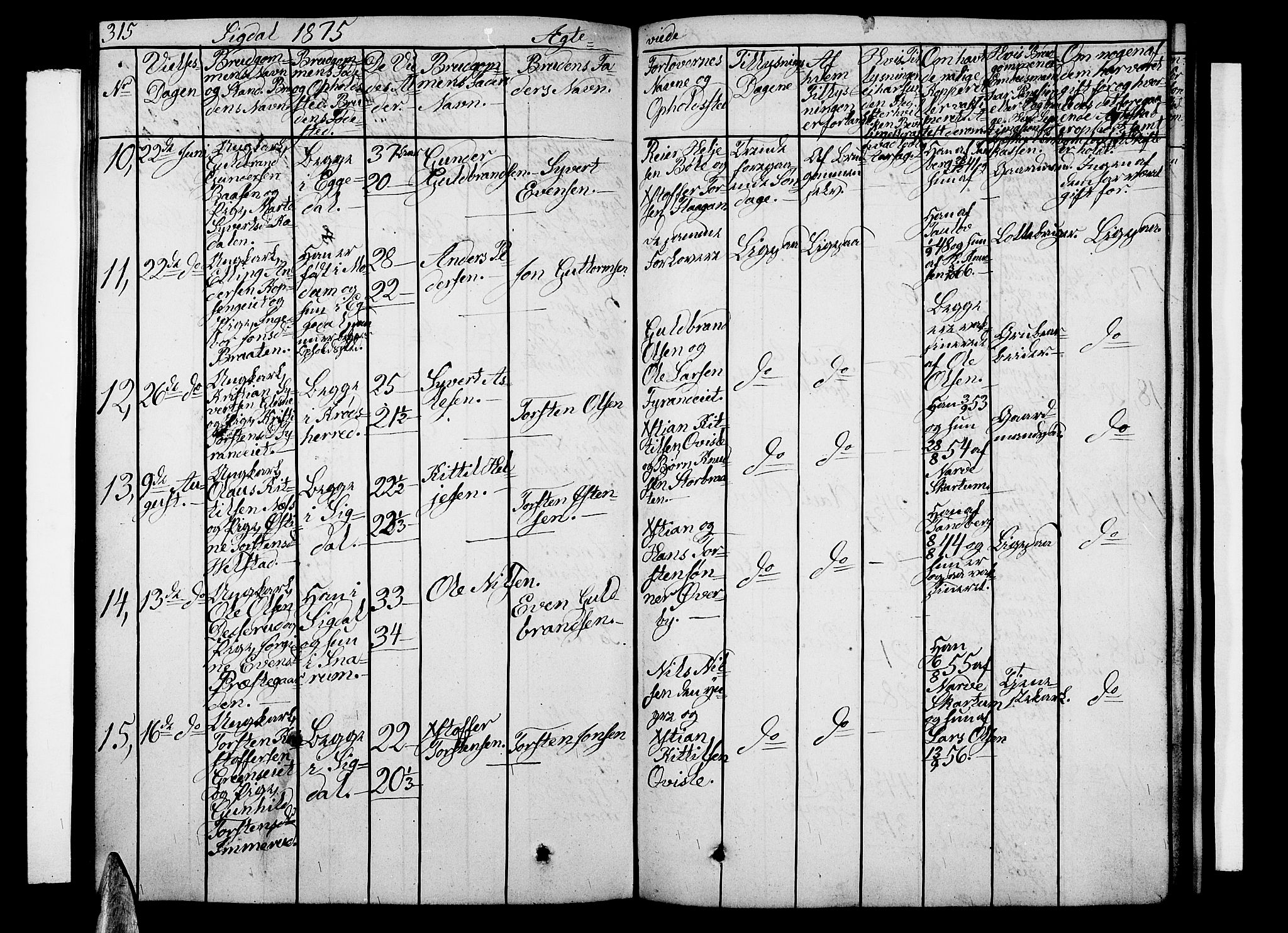 Sigdal kirkebøker, SAKO/A-245/G/Ga/L0003: Parish register (copy) no. I 3, 1857-1878, p. 315