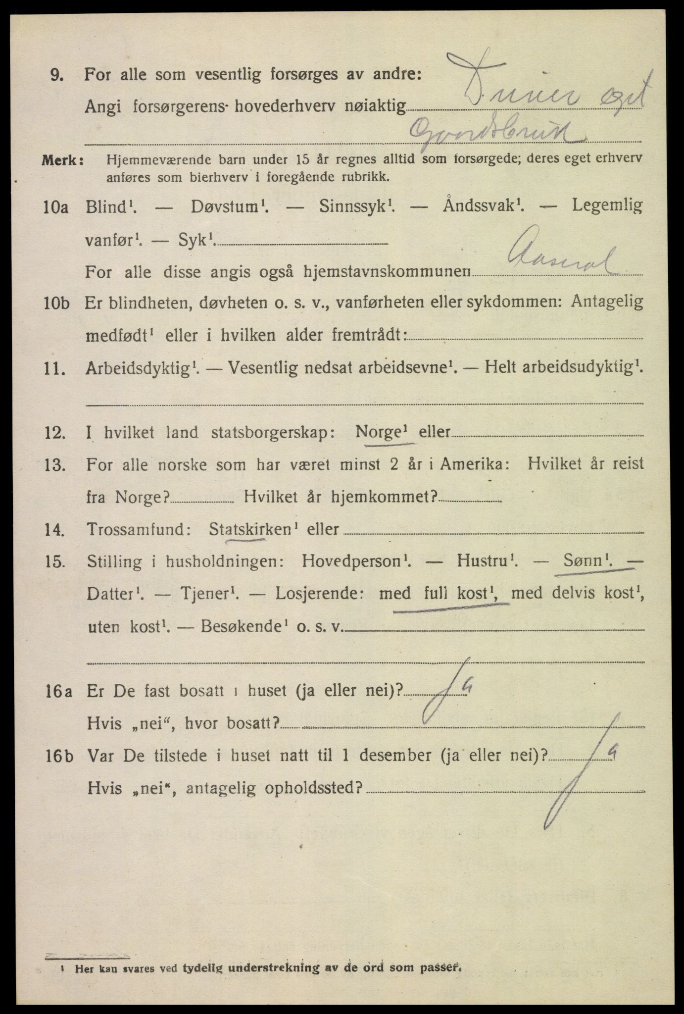 SAK, 1920 census for Åseral, 1920, p. 2023
