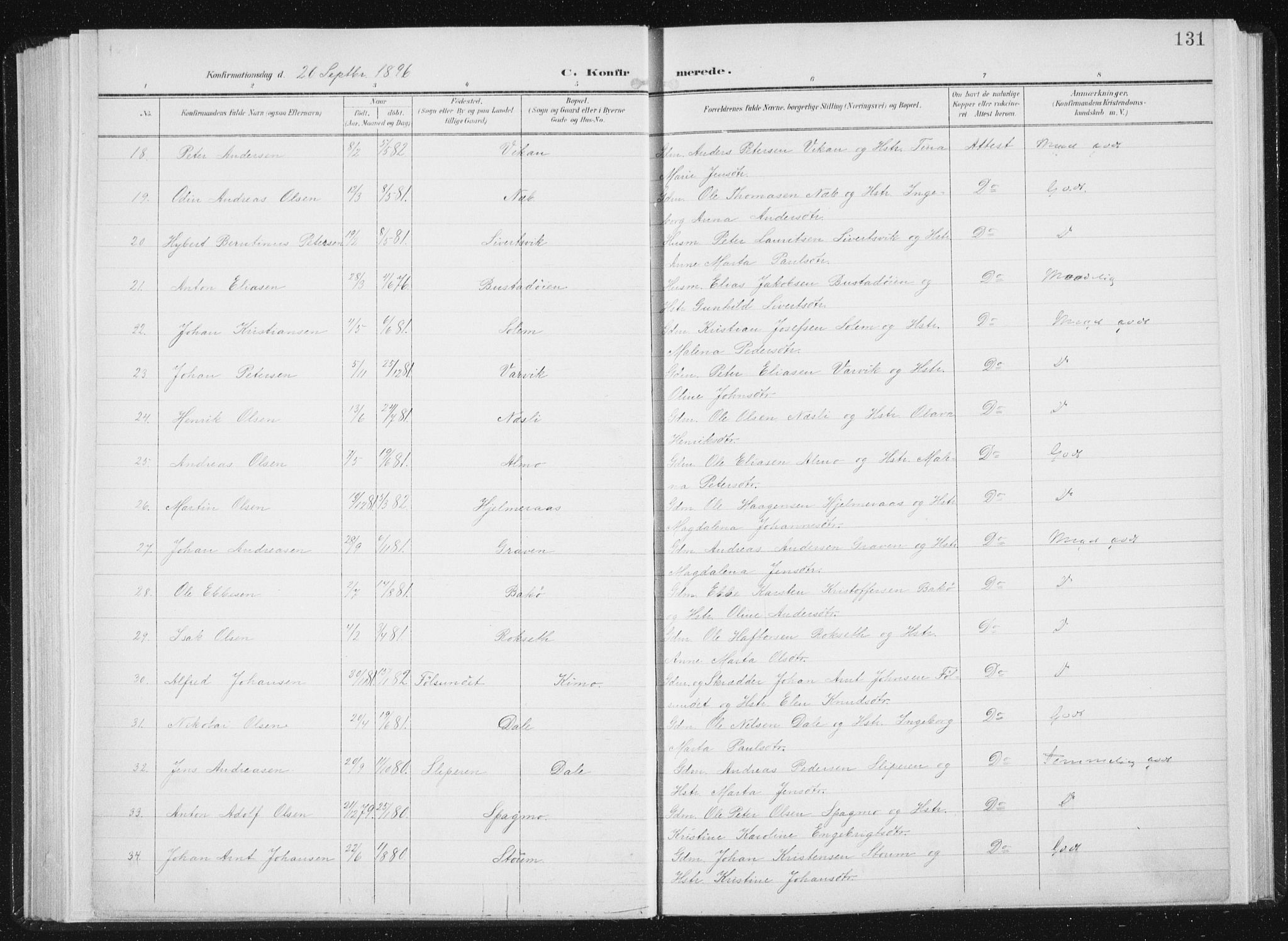 Ministerialprotokoller, klokkerbøker og fødselsregistre - Sør-Trøndelag, AV/SAT-A-1456/647/L0635: Parish register (official) no. 647A02, 1896-1911, p. 131