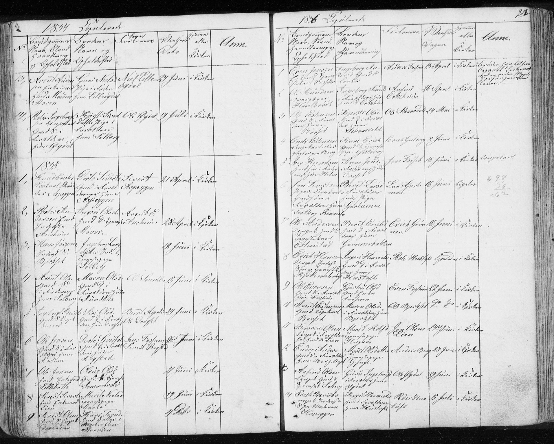 Ministerialprotokoller, klokkerbøker og fødselsregistre - Sør-Trøndelag, SAT/A-1456/689/L1043: Parish register (copy) no. 689C02, 1816-1892, p. 212