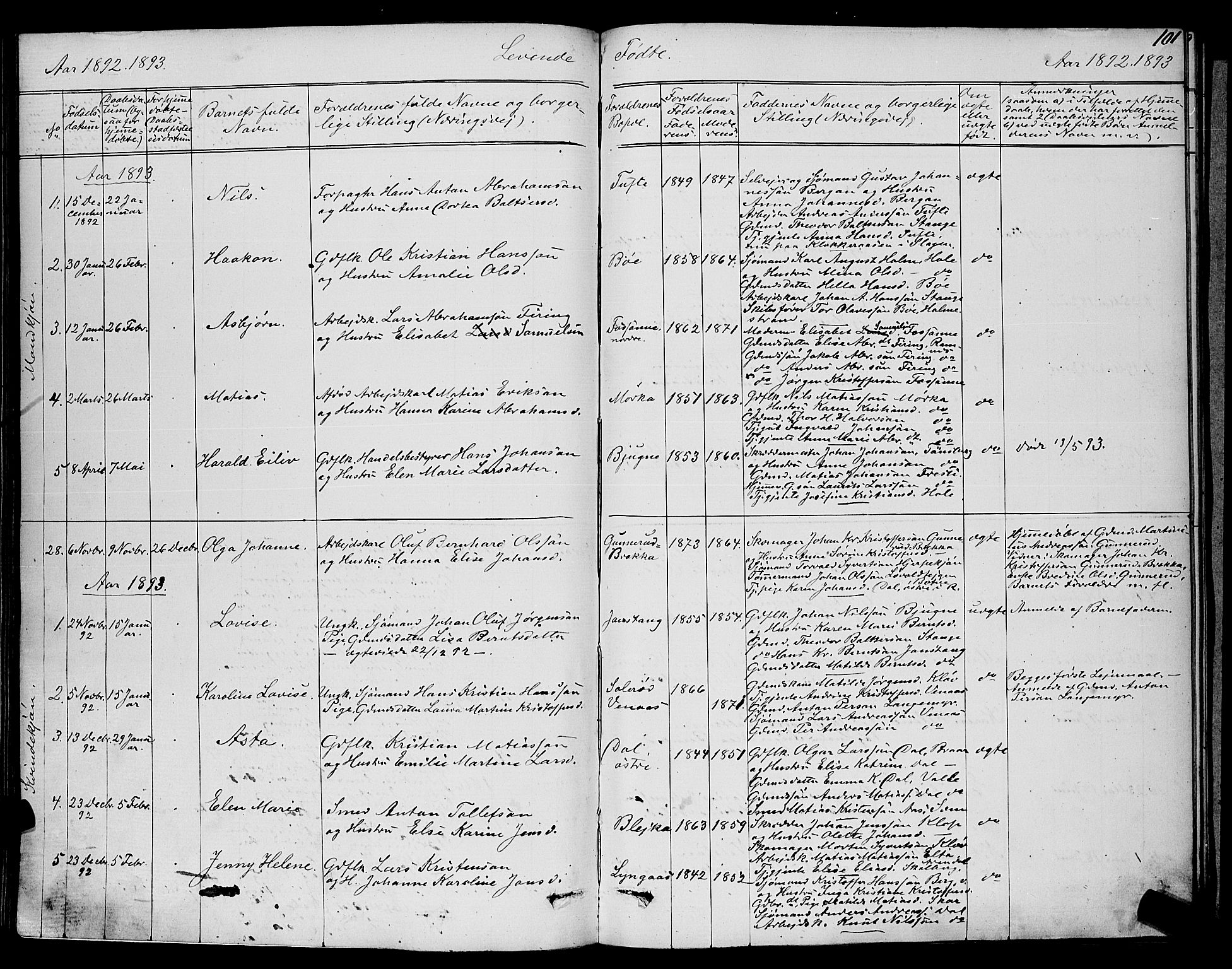 Ramnes kirkebøker, SAKO/A-314/G/Ga/L0003: Parish register (copy) no. I 3, 1870-1896, p. 101
