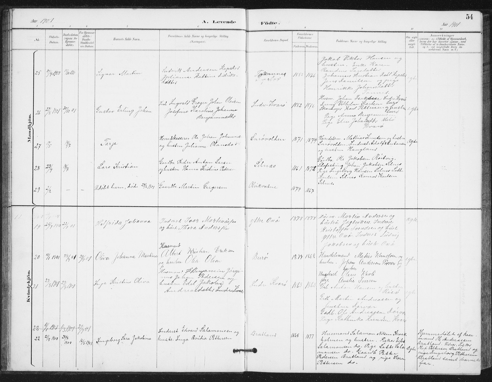 Ministerialprotokoller, klokkerbøker og fødselsregistre - Nordland, AV/SAT-A-1459/839/L0573: Parish register (copy) no. 839C03, 1892-1917, p. 54