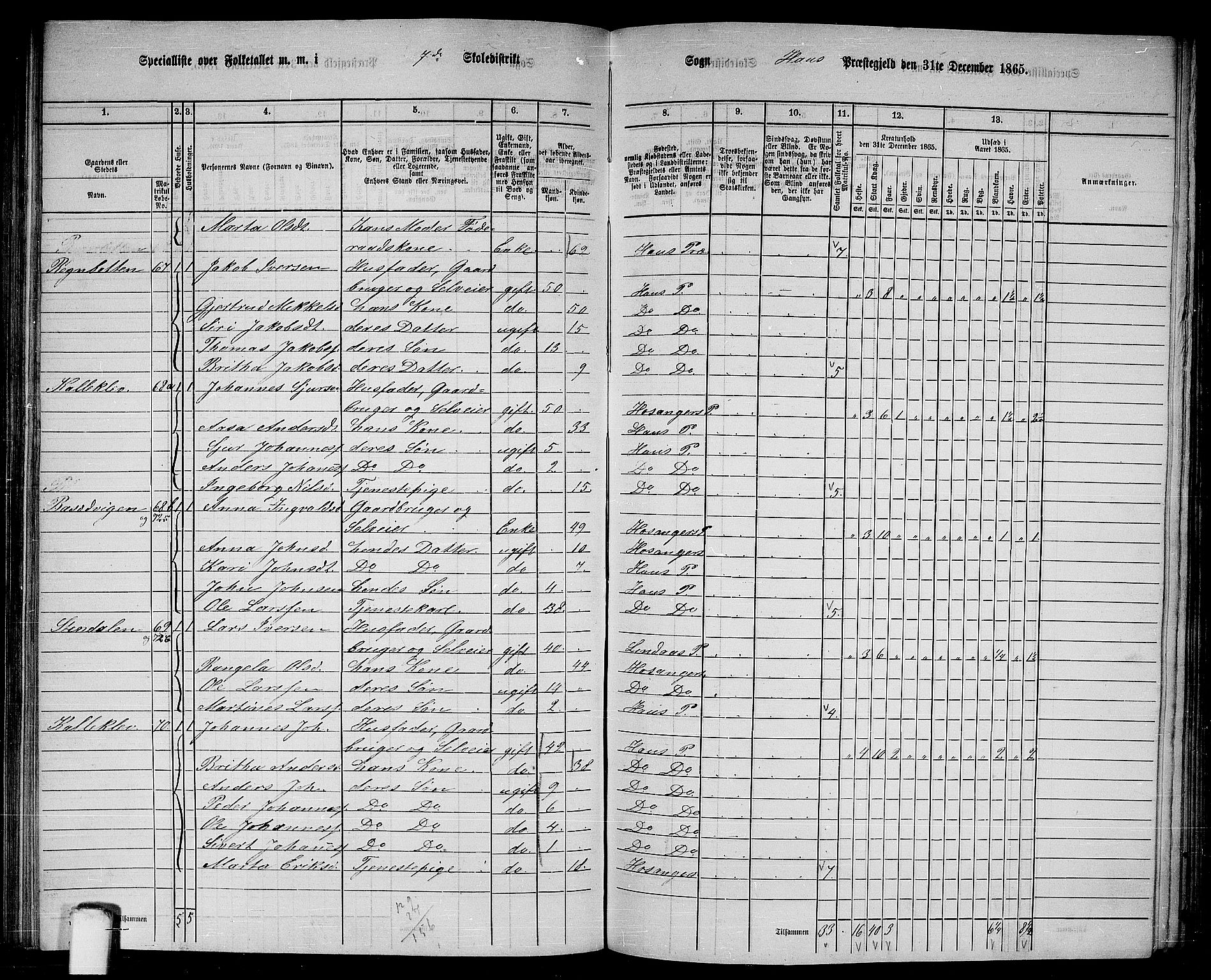 RA, 1865 census for Haus, 1865, p. 132