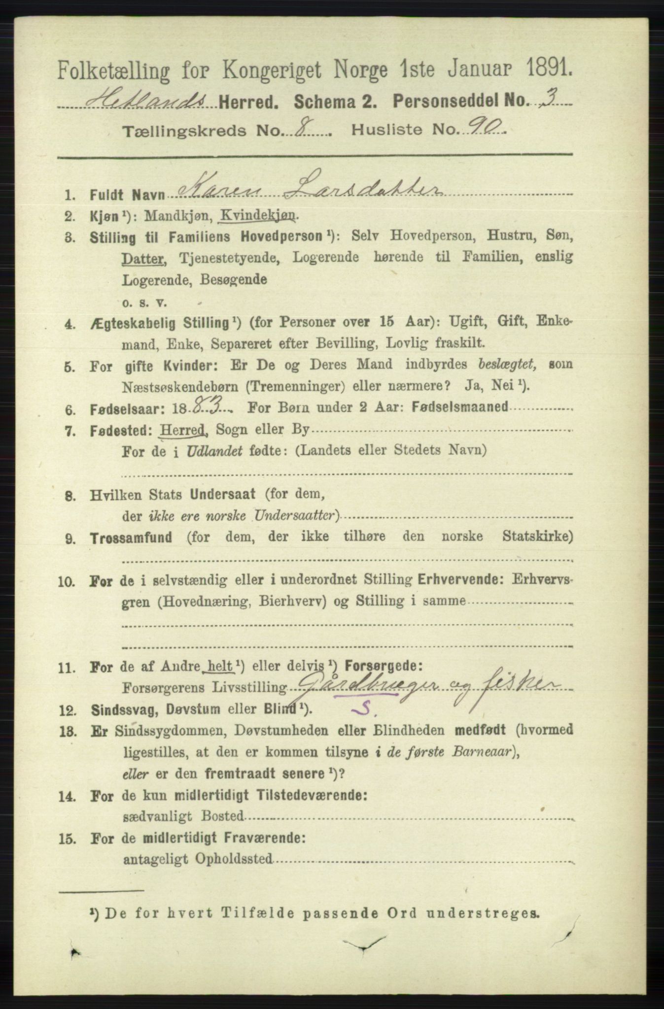 RA, 1891 census for 1126 Hetland, 1891, p. 4991