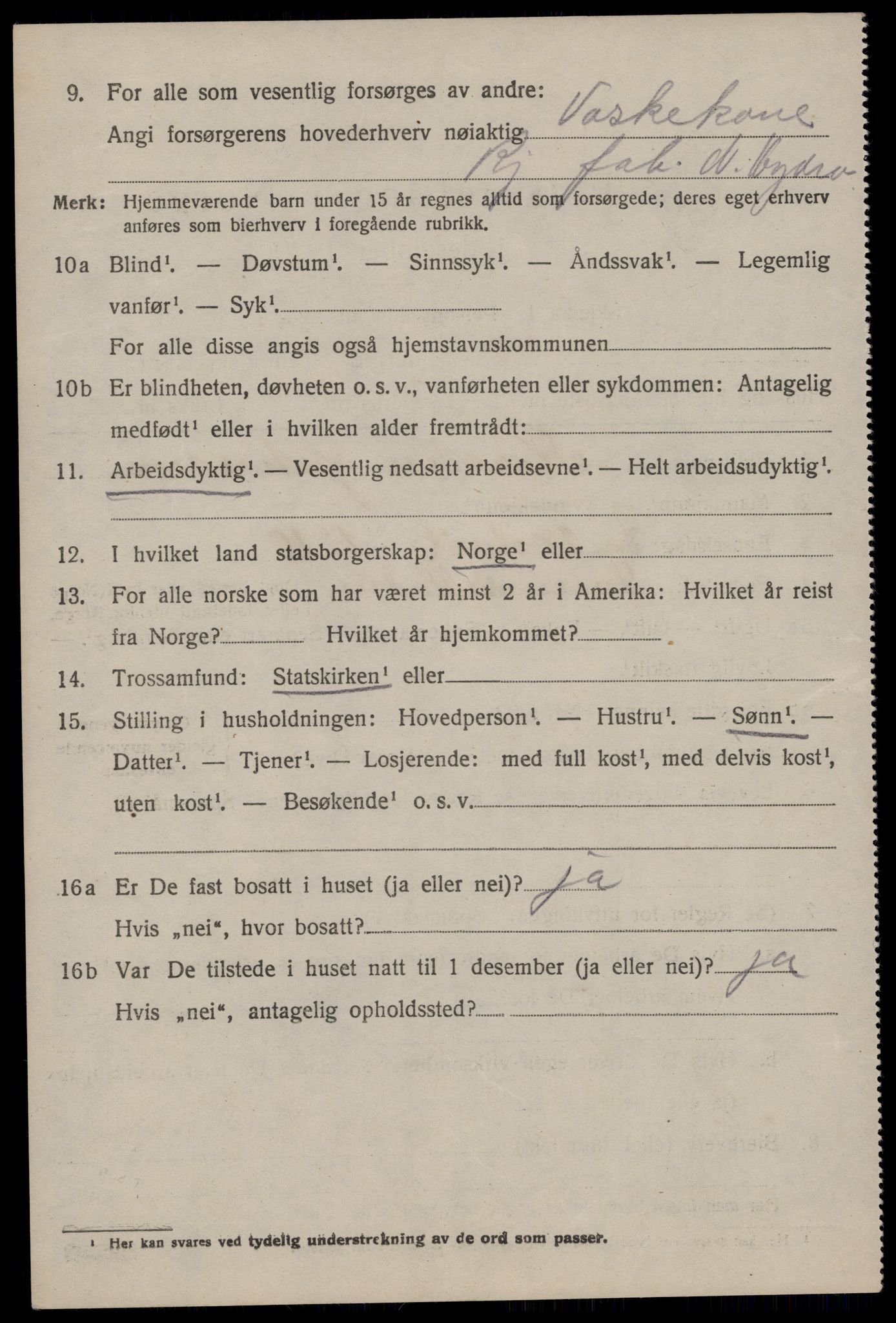 SAKO, 1920 census for Tinn, 1920, p. 20393