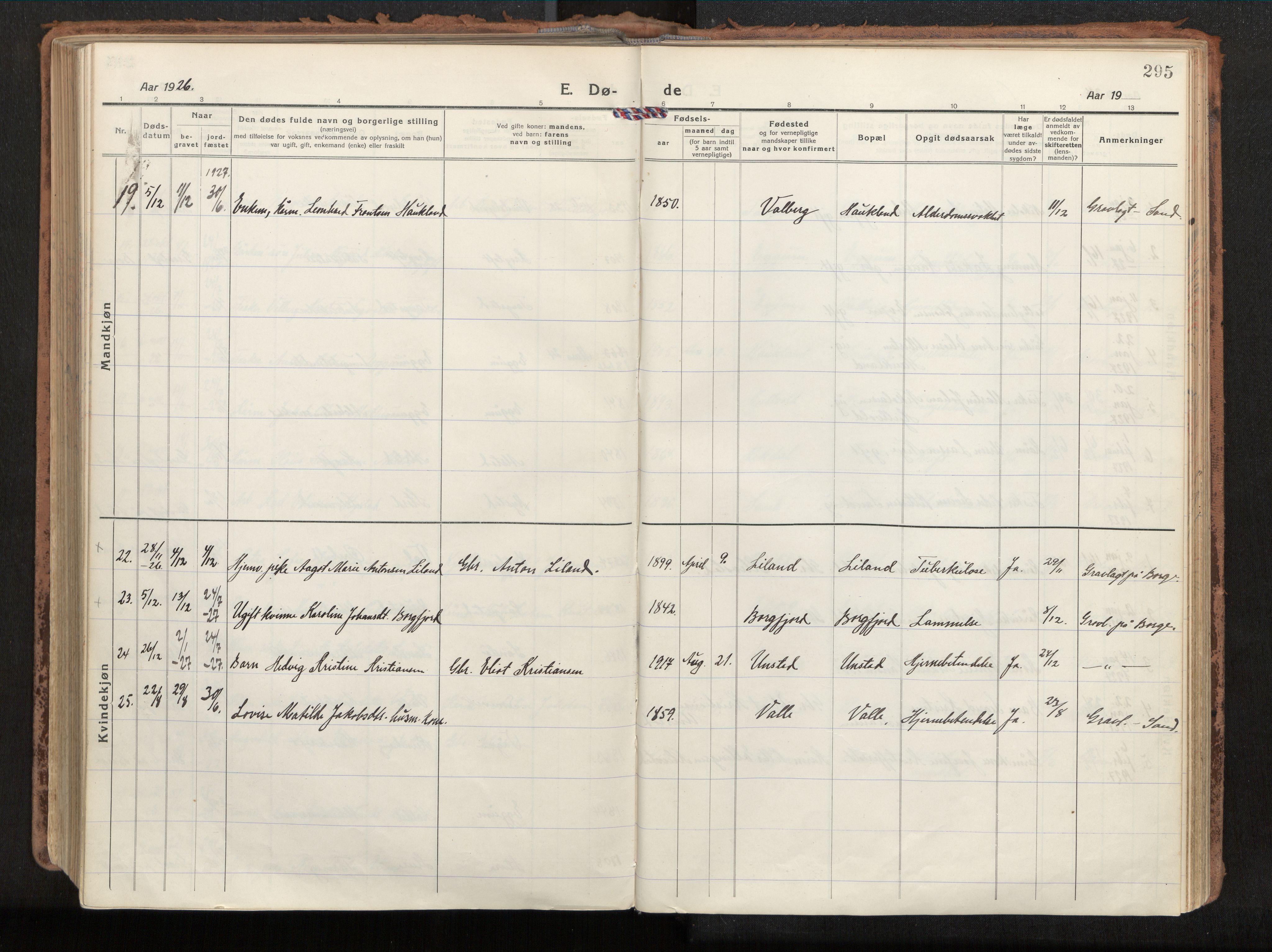 Ministerialprotokoller, klokkerbøker og fødselsregistre - Nordland, AV/SAT-A-1459/880/L1136: Parish register (official) no. 880A10, 1919-1927, p. 295