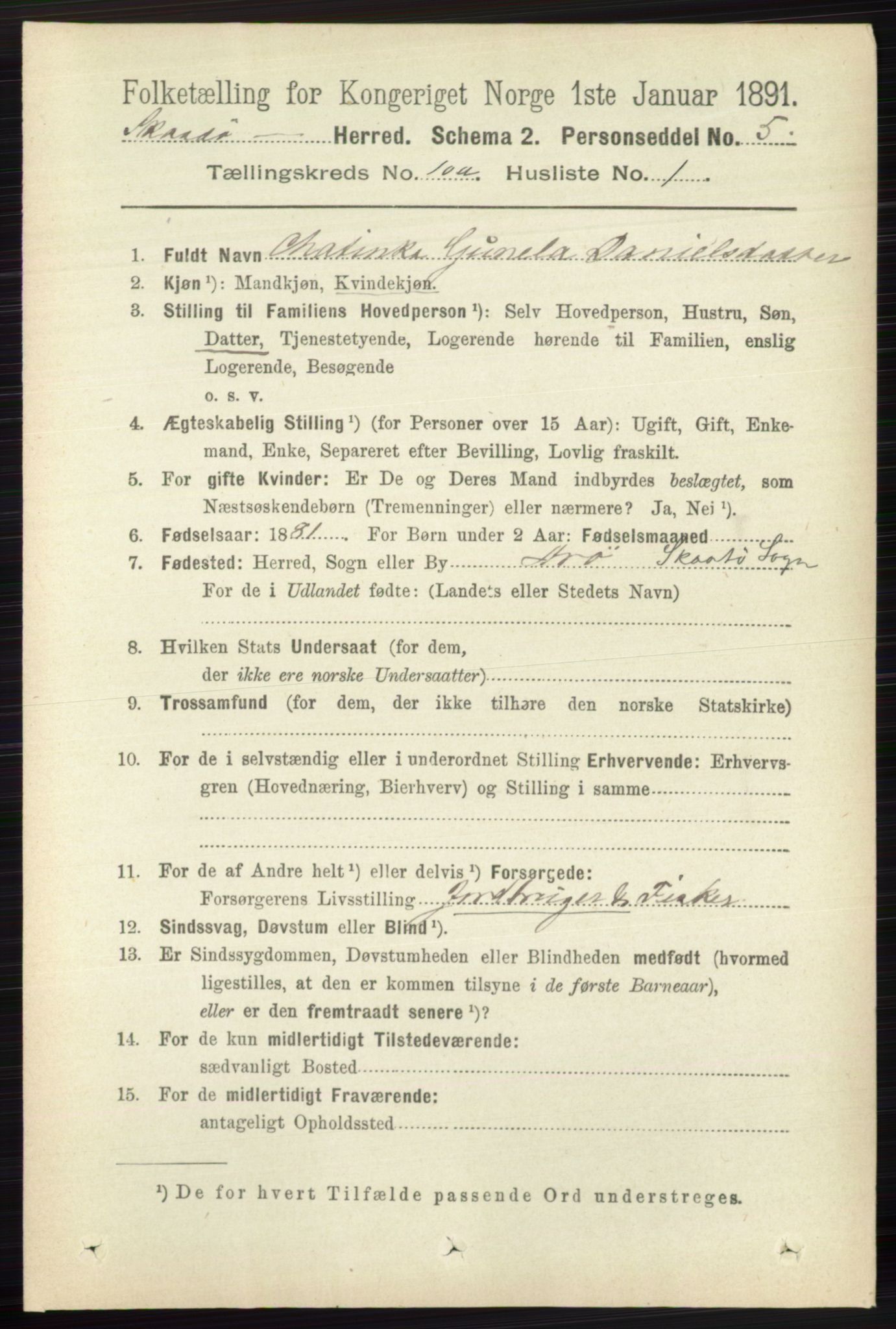 RA, 1891 census for 0815 Skåtøy, 1891, p. 4036