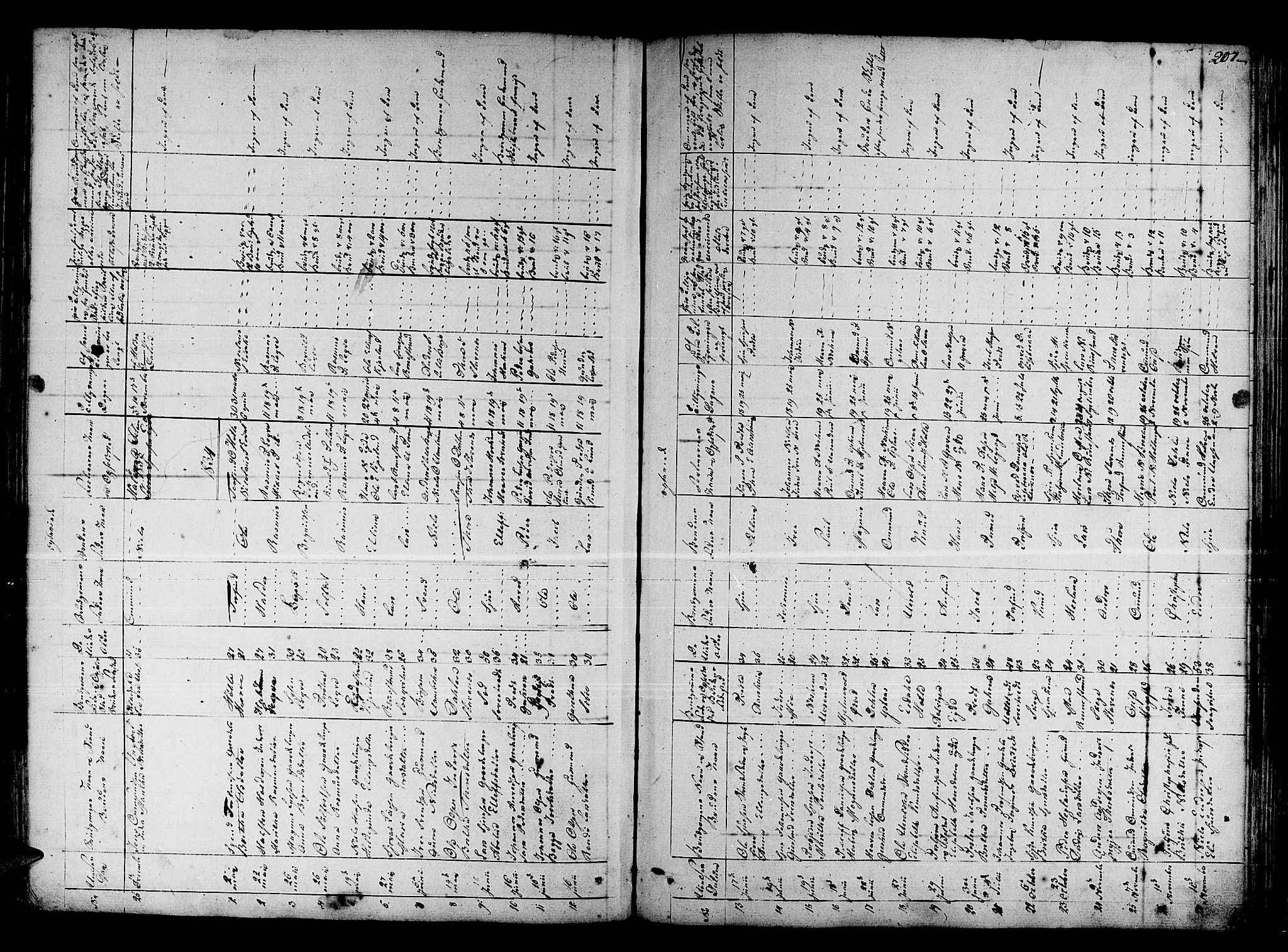 Ulvik sokneprestembete, SAB/A-78801/H/Haa: Parish register (official) no. A 11, 1793-1838, p. 207